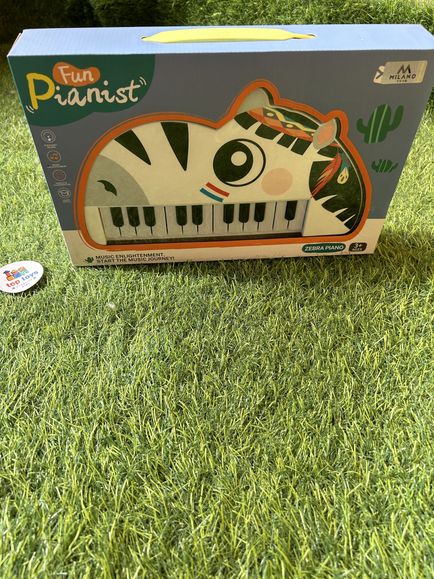 Piano Shapes