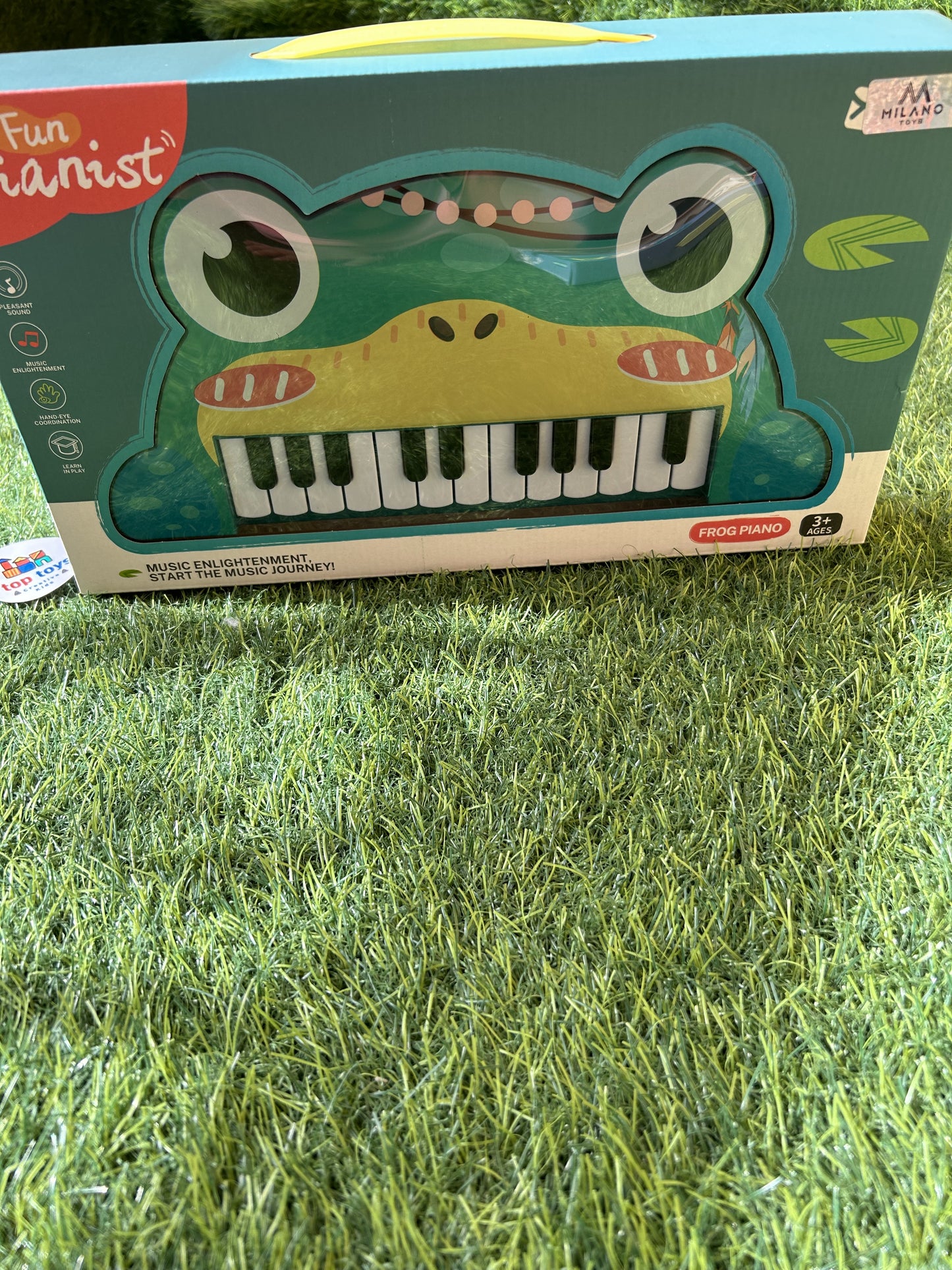Piano Shapes