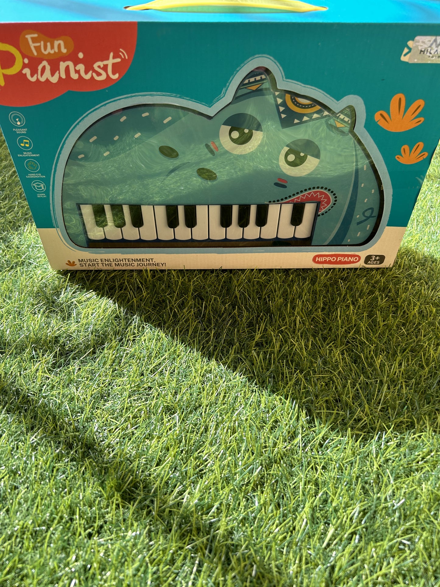 Piano Shapes