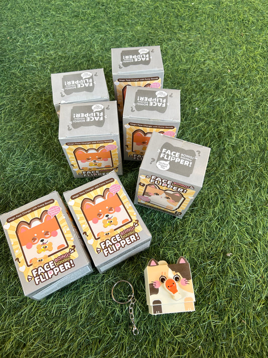 Face Flipper