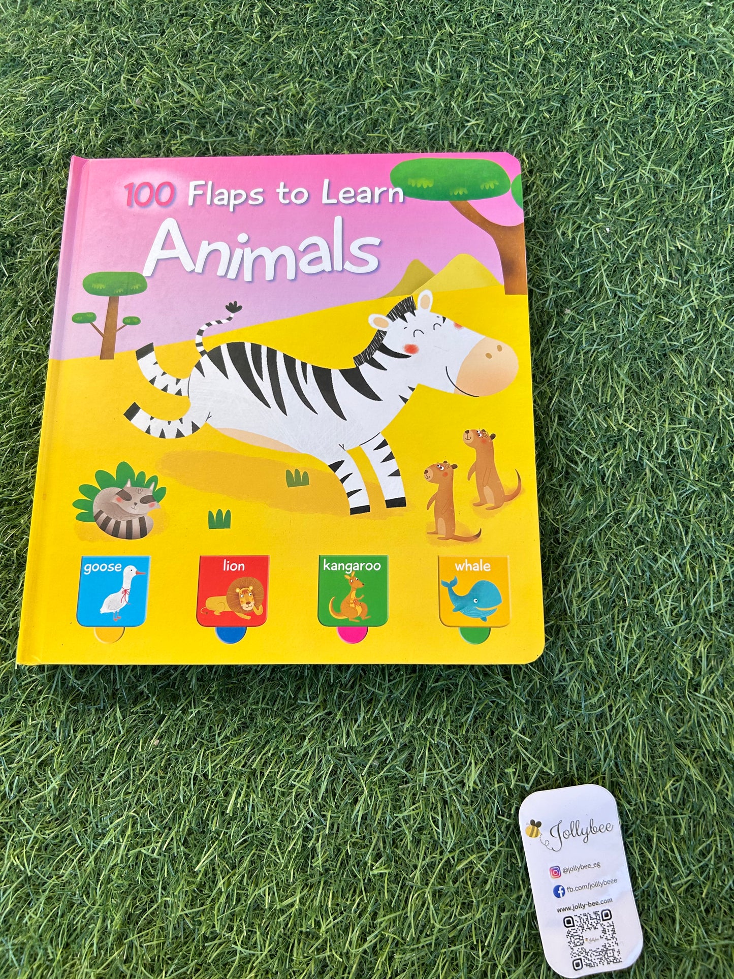 100 Flaps To Learn