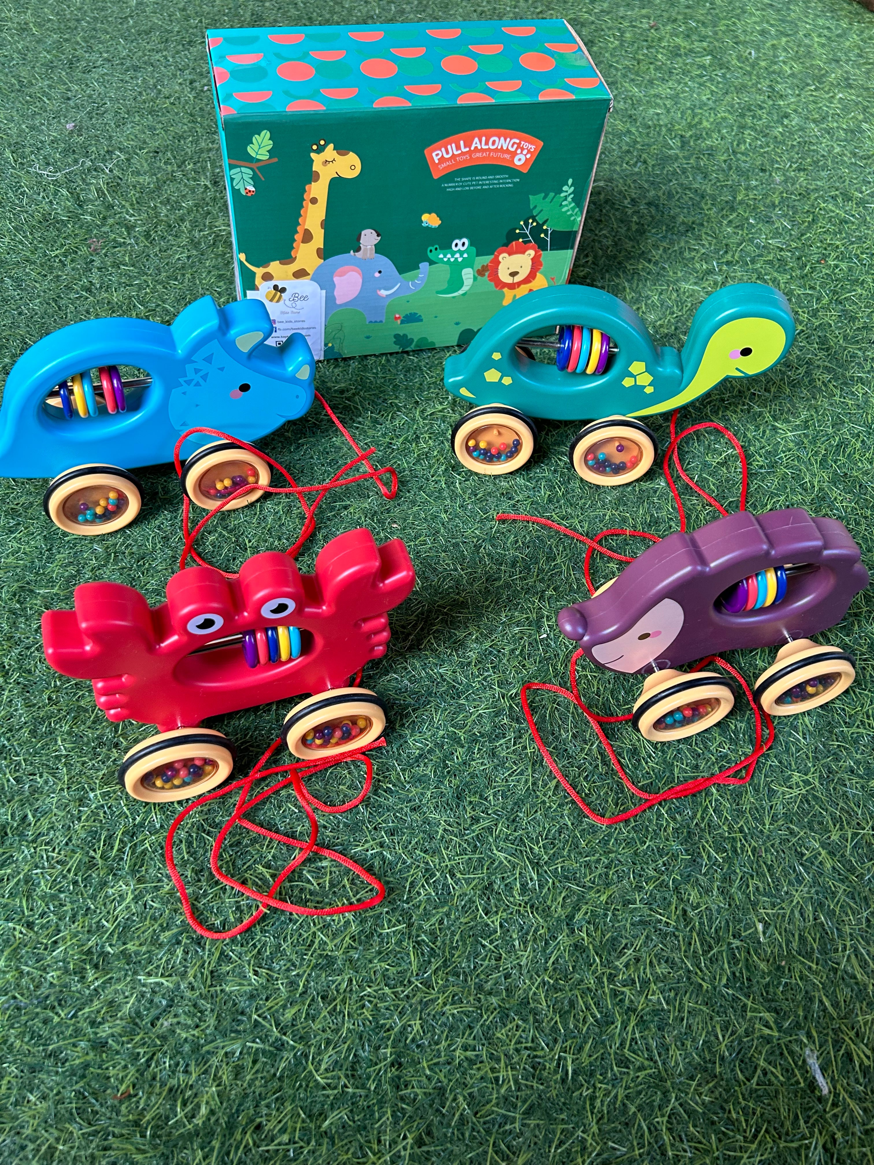 Pull along toy