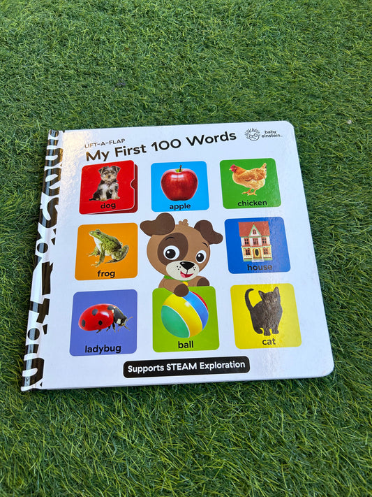 My first 100 words