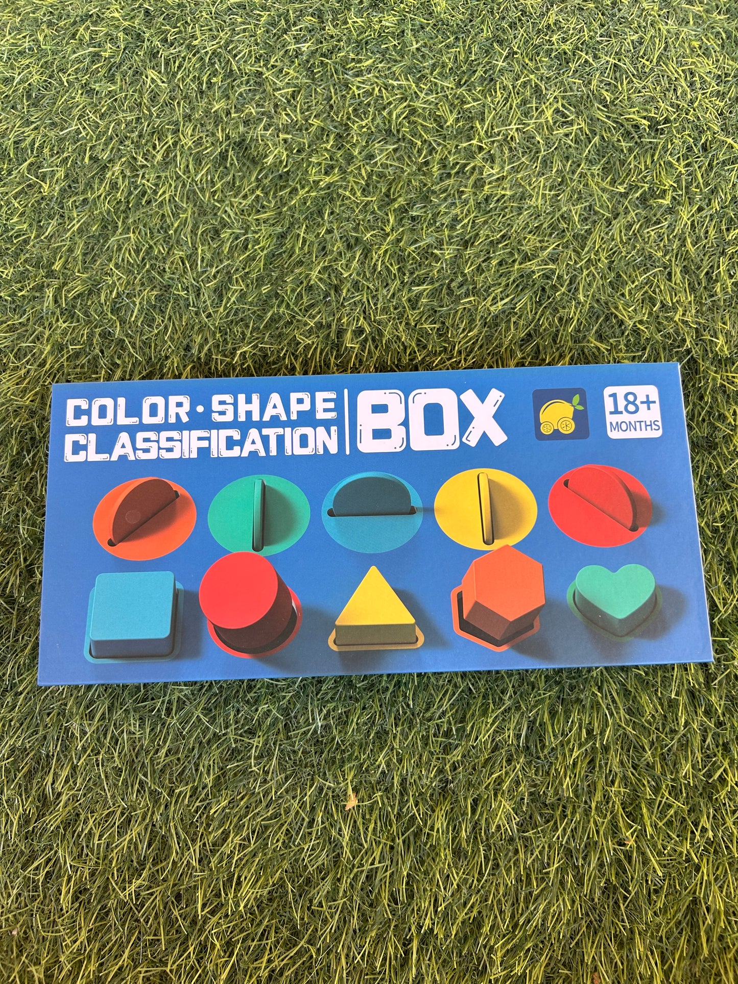 Color Shape Classification Box