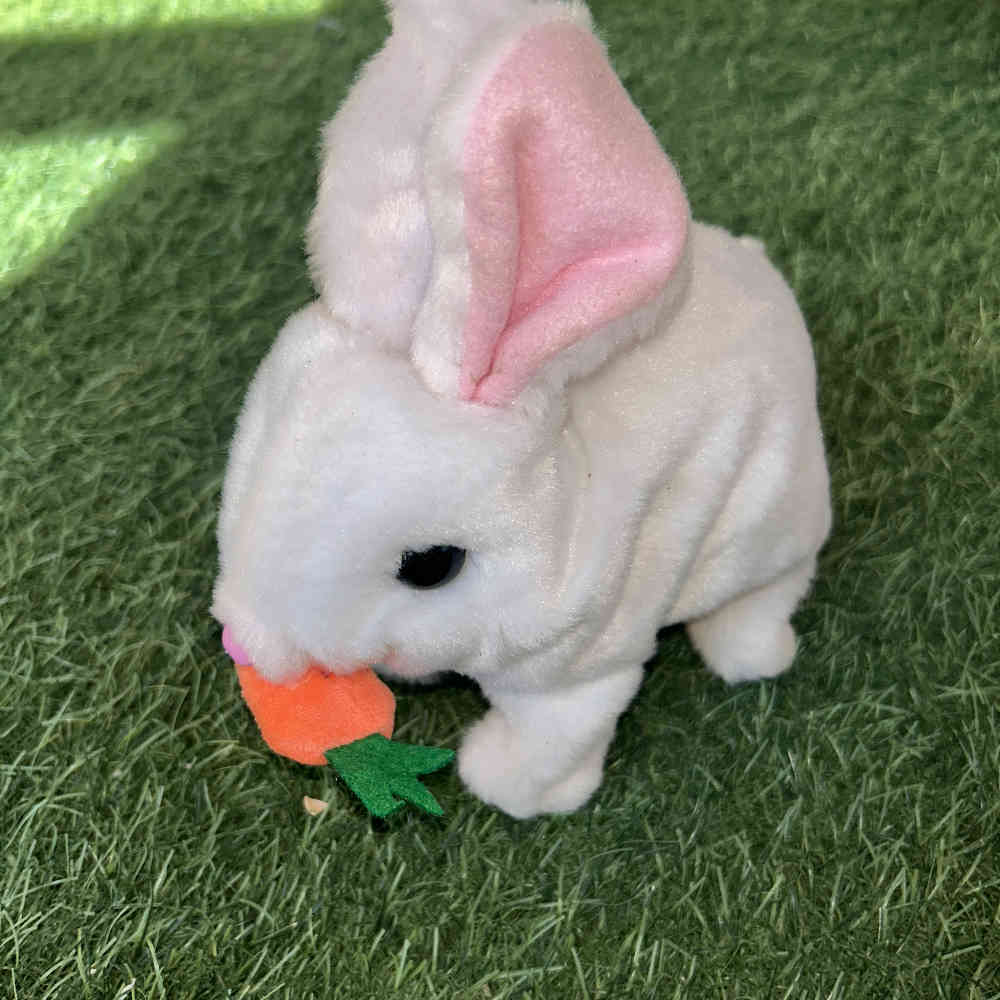 Moving Cute Rabbit 🐰