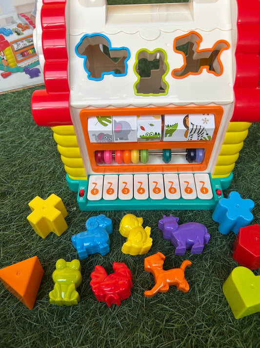 Activity House Shape Sorter