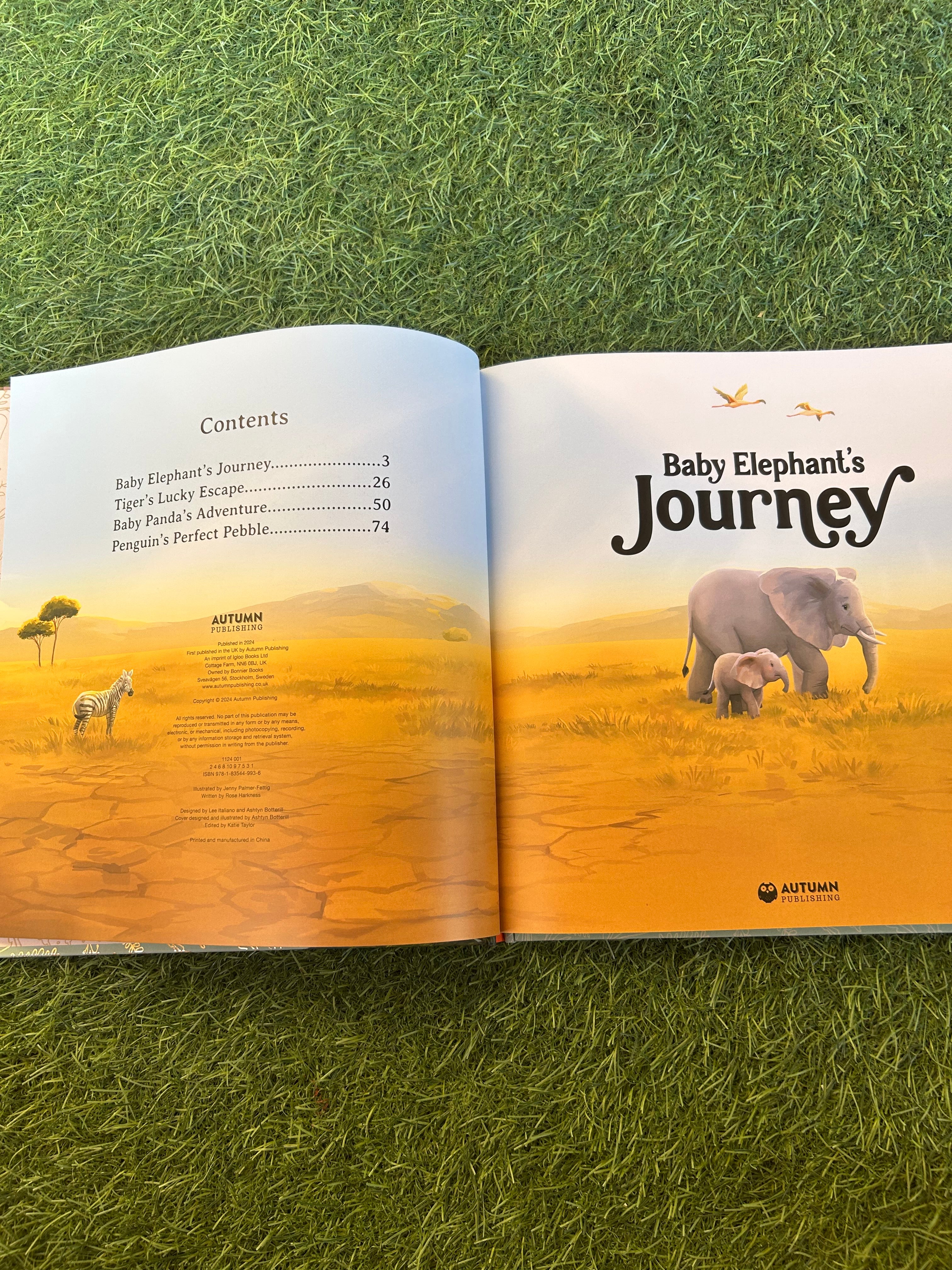 Stories From The Wild