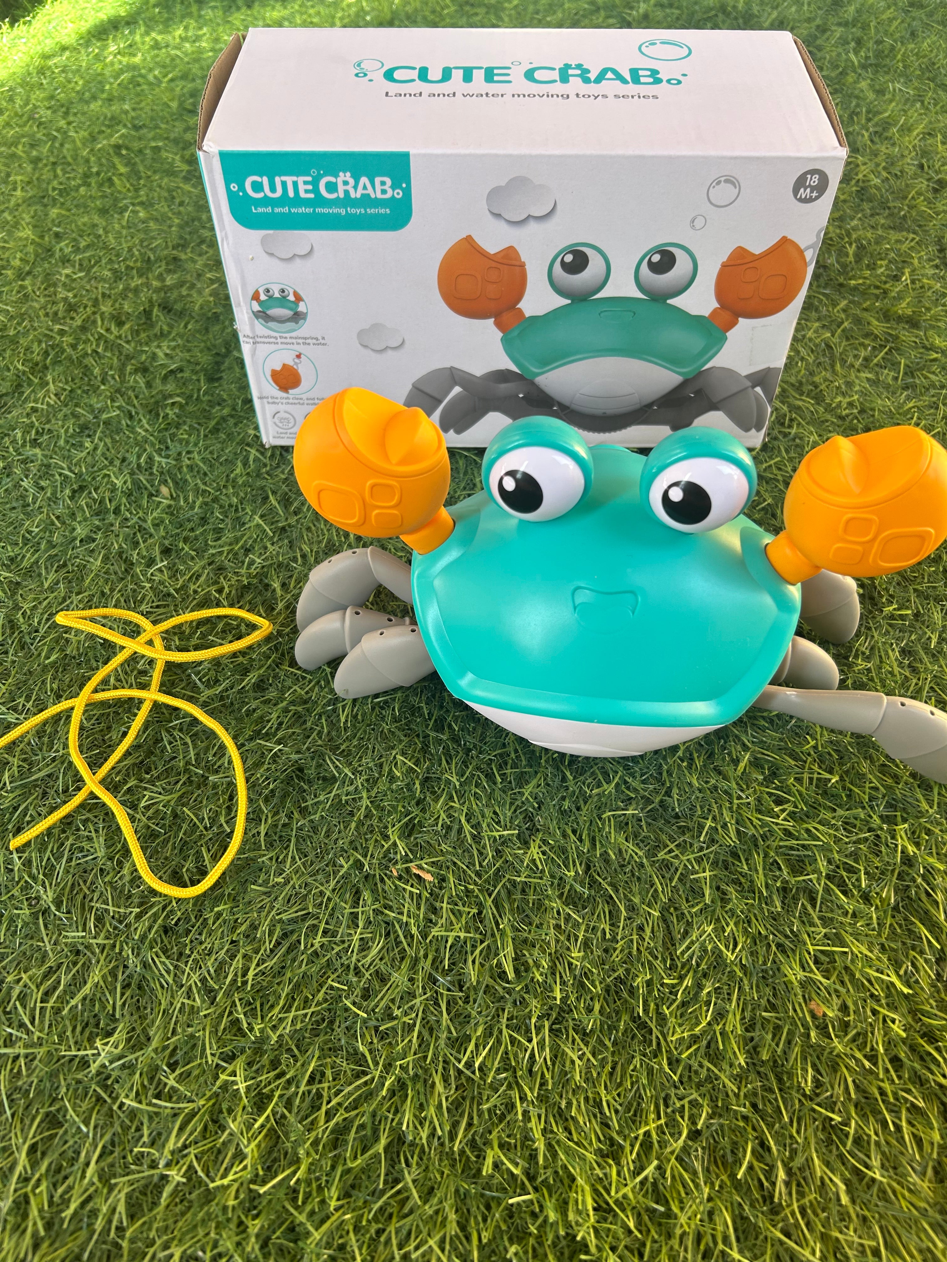 Cute Crab 🦀 Land & moving Toy