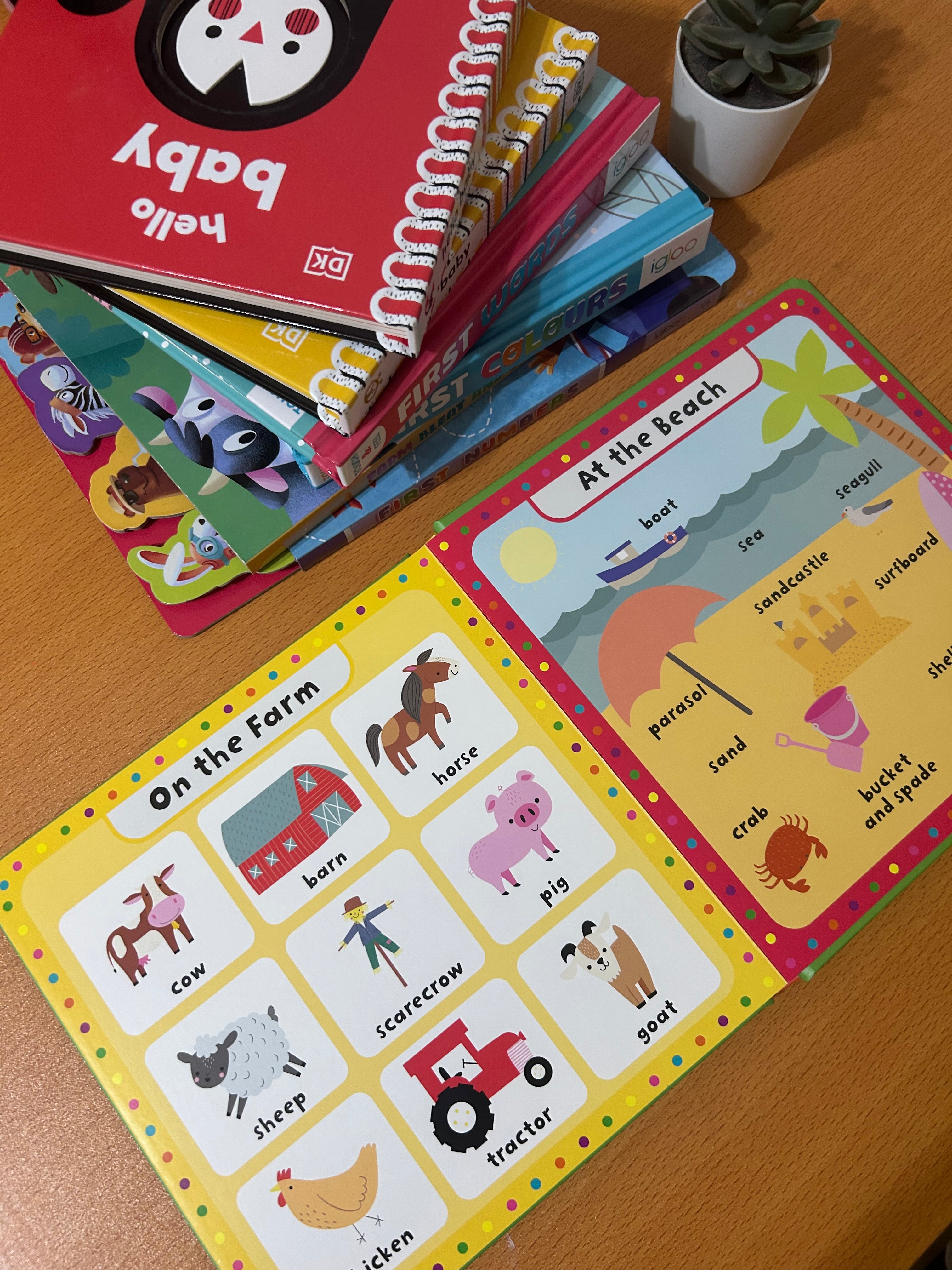 My First Dictionary The World Around  Me