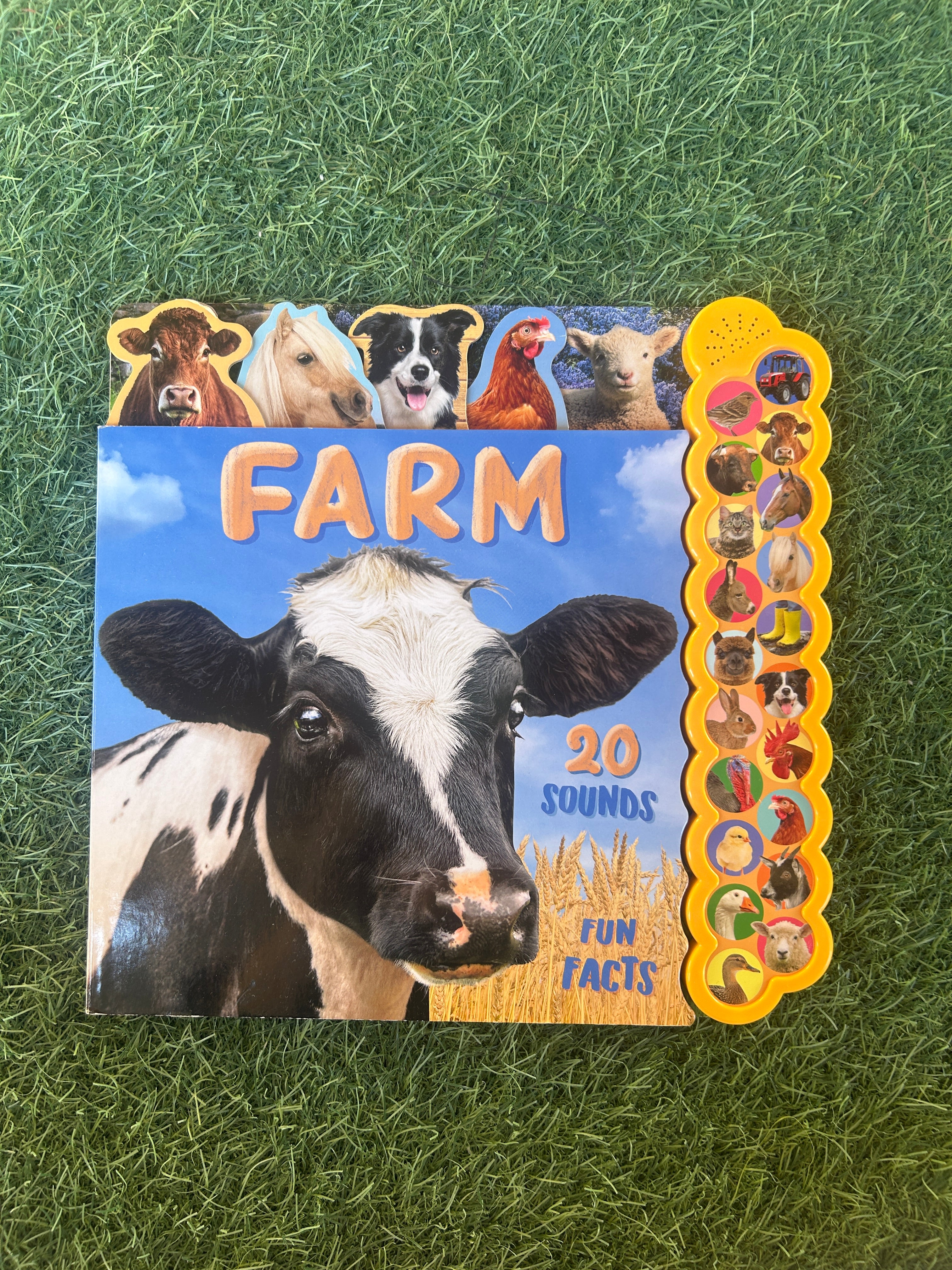 20 Sound Farm Animals