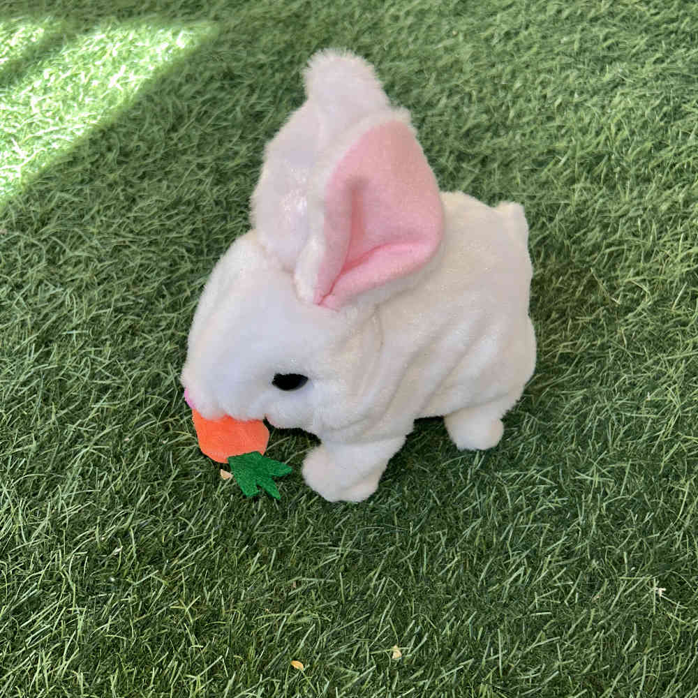 Moving Cute Rabbit 🐰
