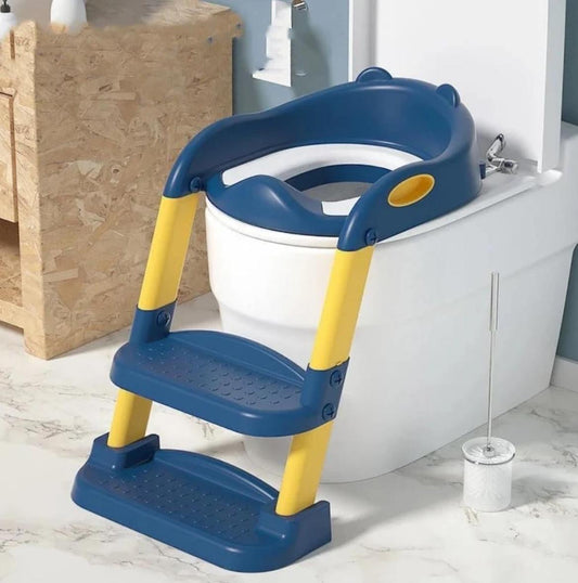 Ladder and potty seat
