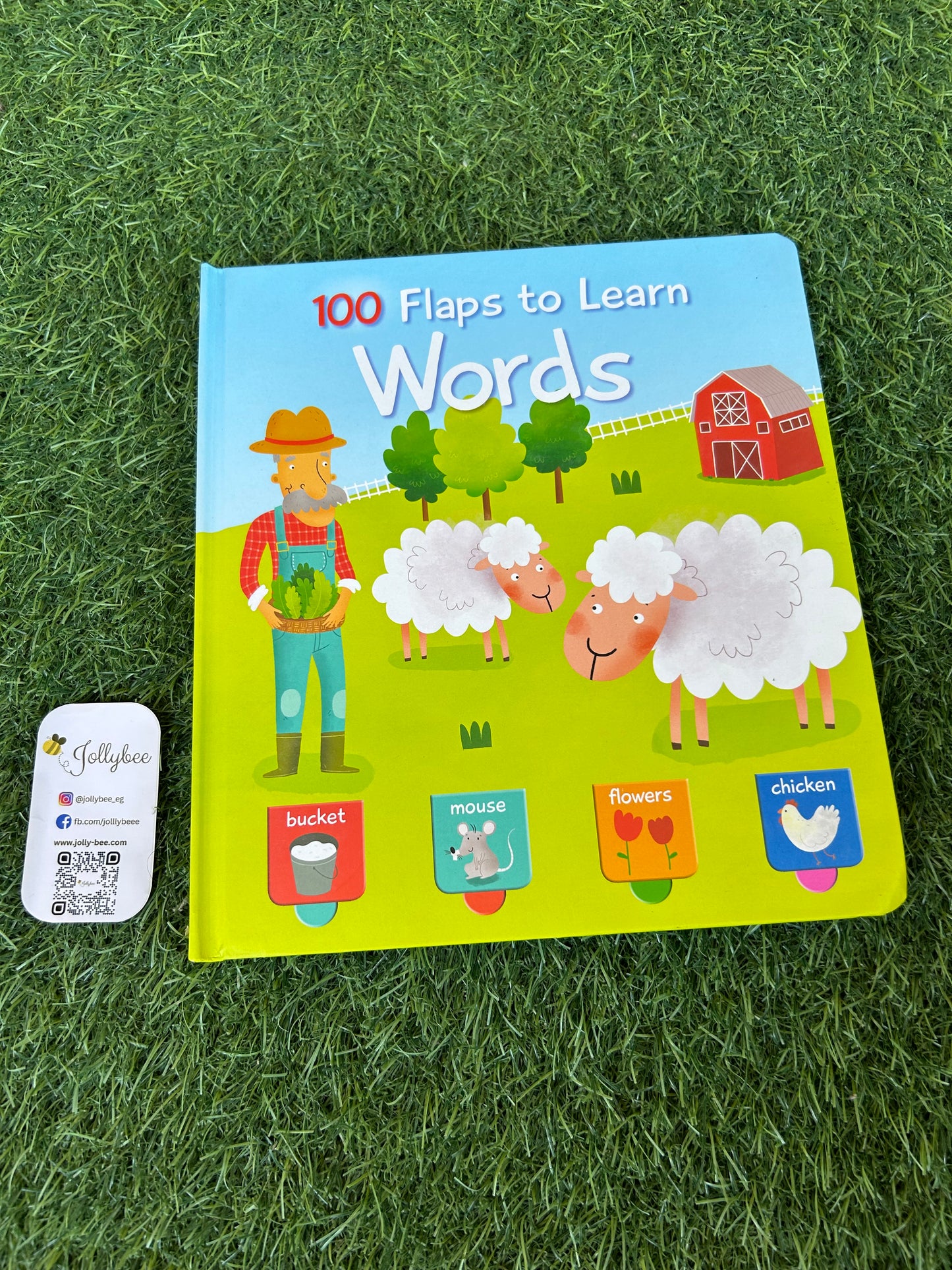 100 Flaps To Learn