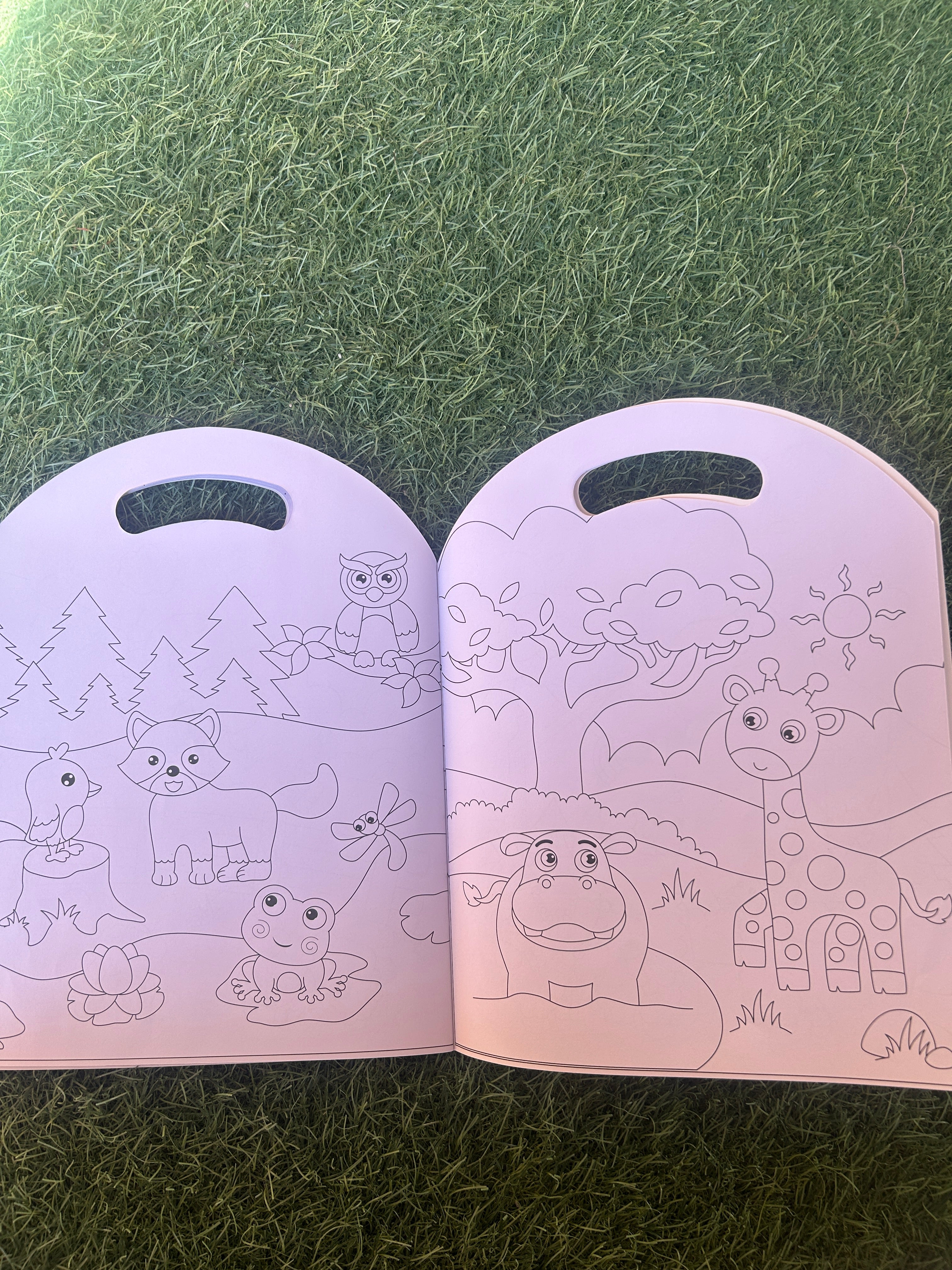 Animals Coloring Book