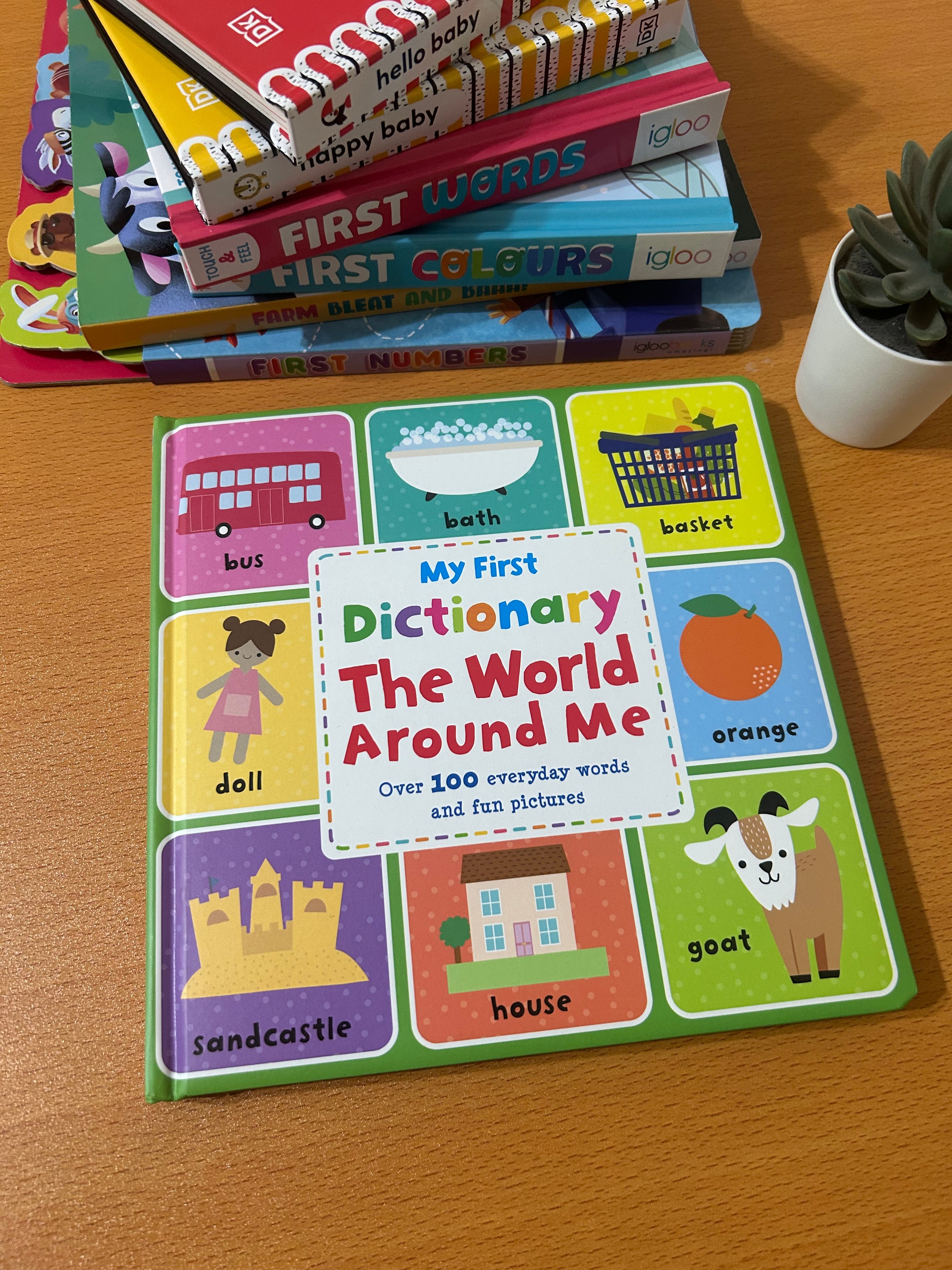 My First Dictionary The World Around  Me