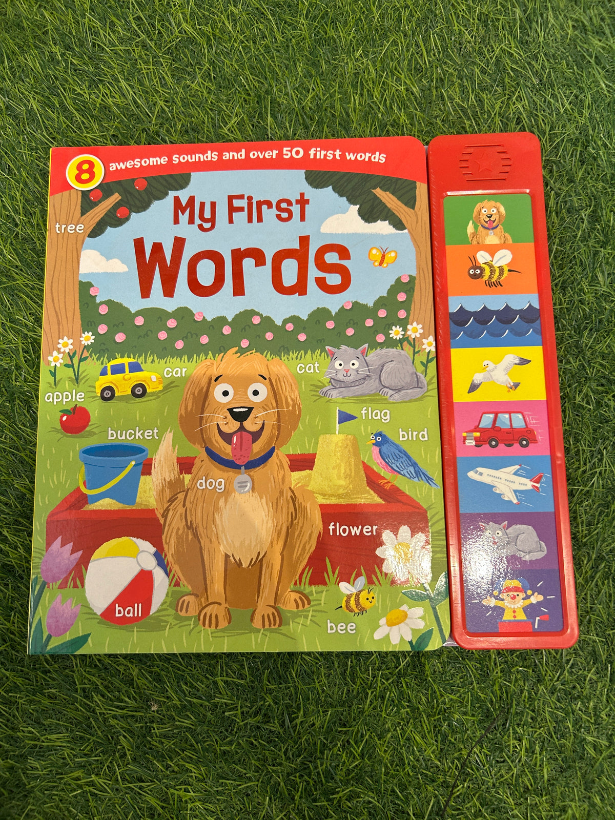 My first words phonics