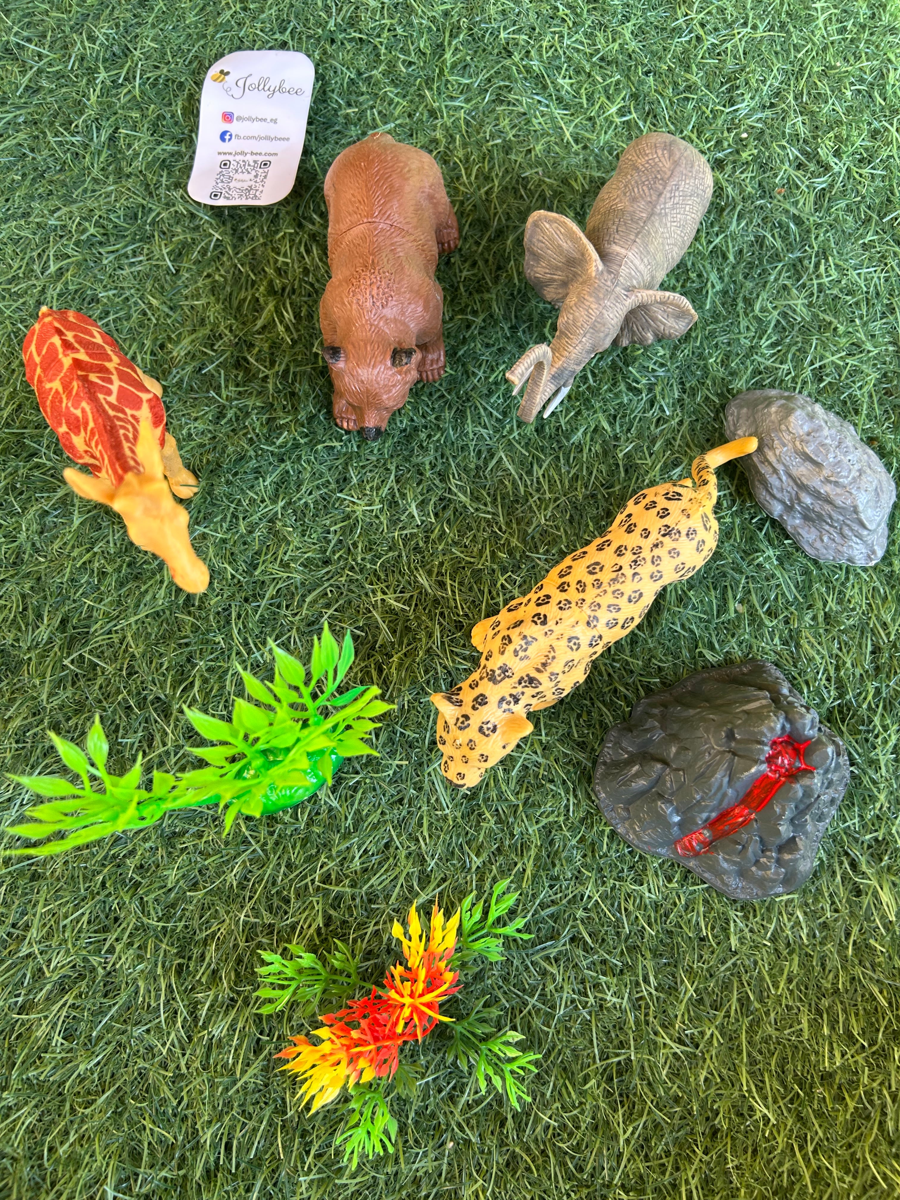 Wild Animals Models