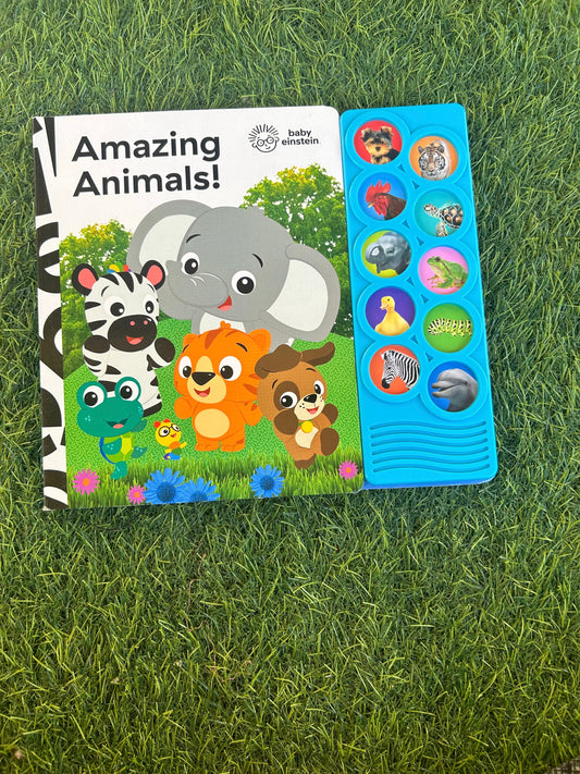 Amazing animals