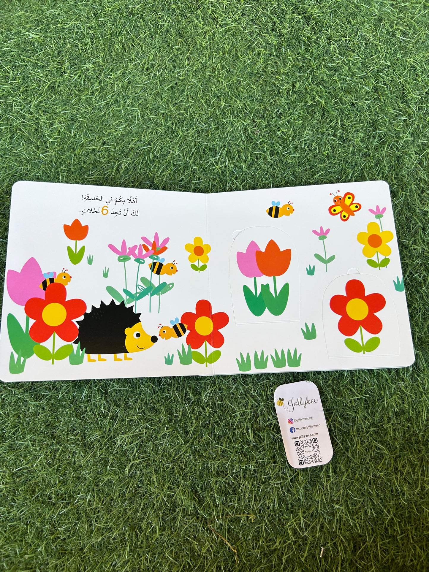 سلسلة التعليم المبكر