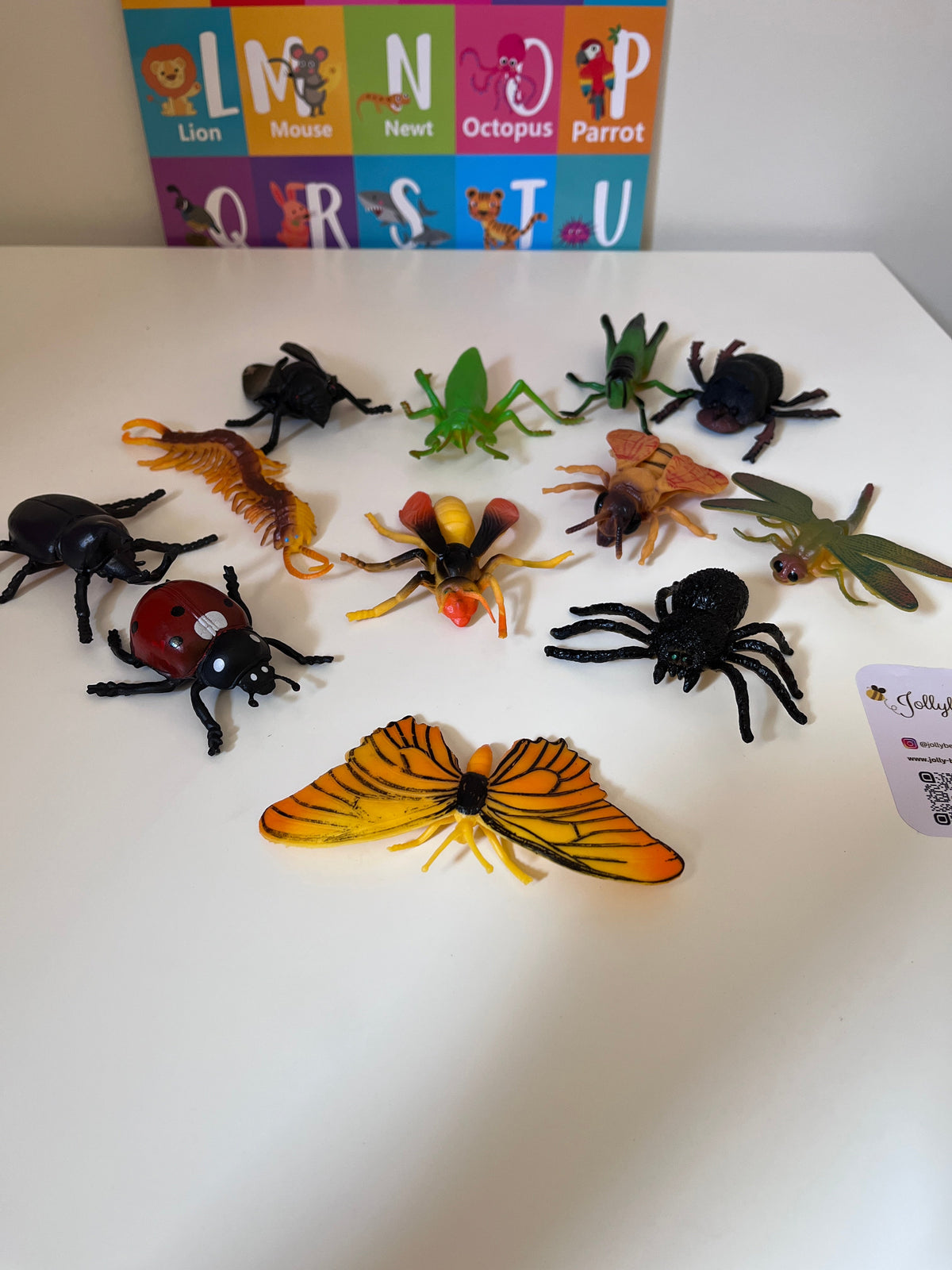Insects Model 🐞