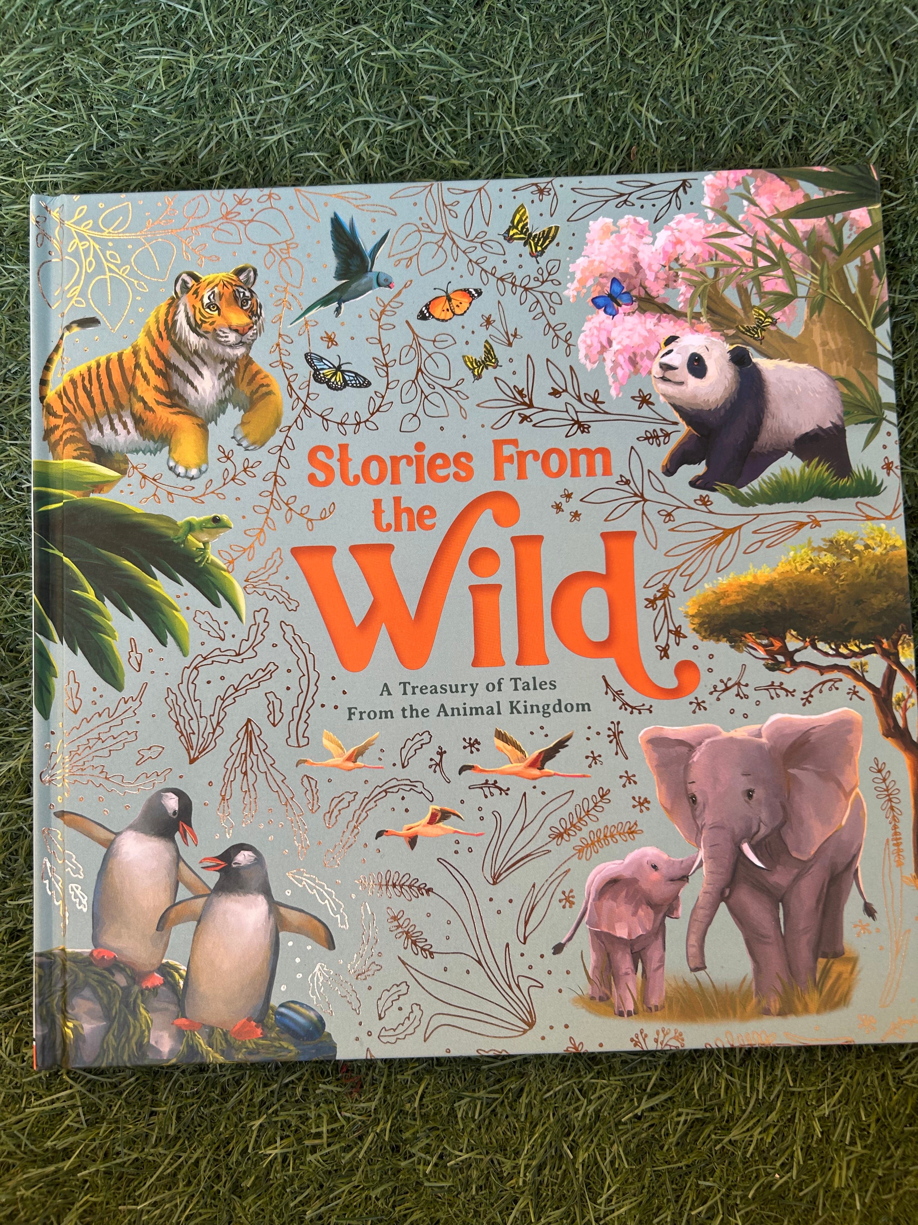 Stories From The Wild