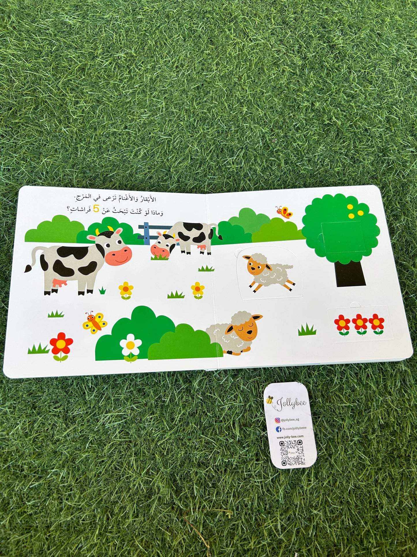 سلسلة التعليم المبكر