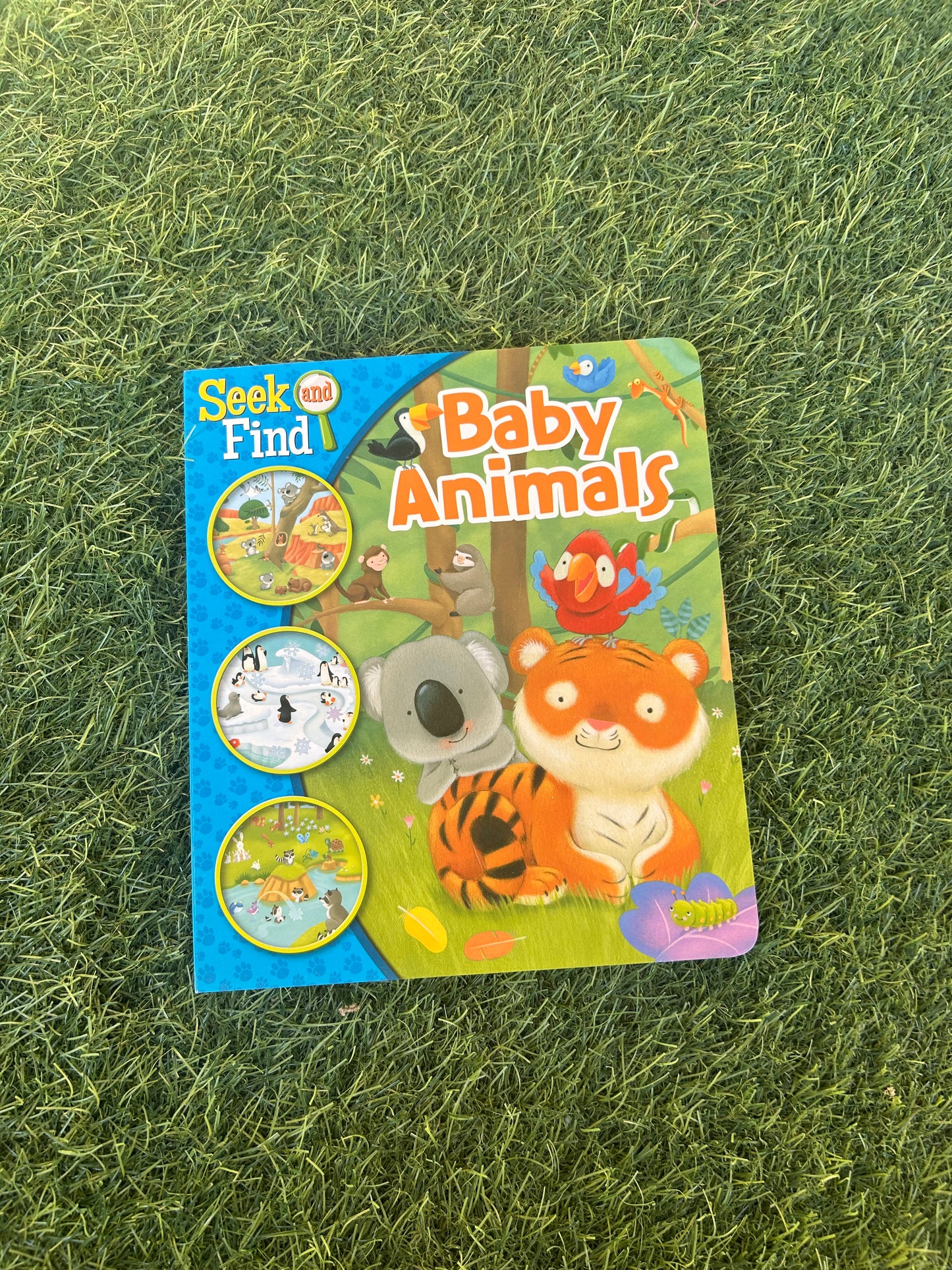 Seek&Find Baby Animals