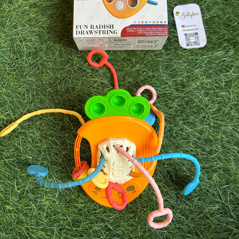 Fun Educational Carrot 🥕
