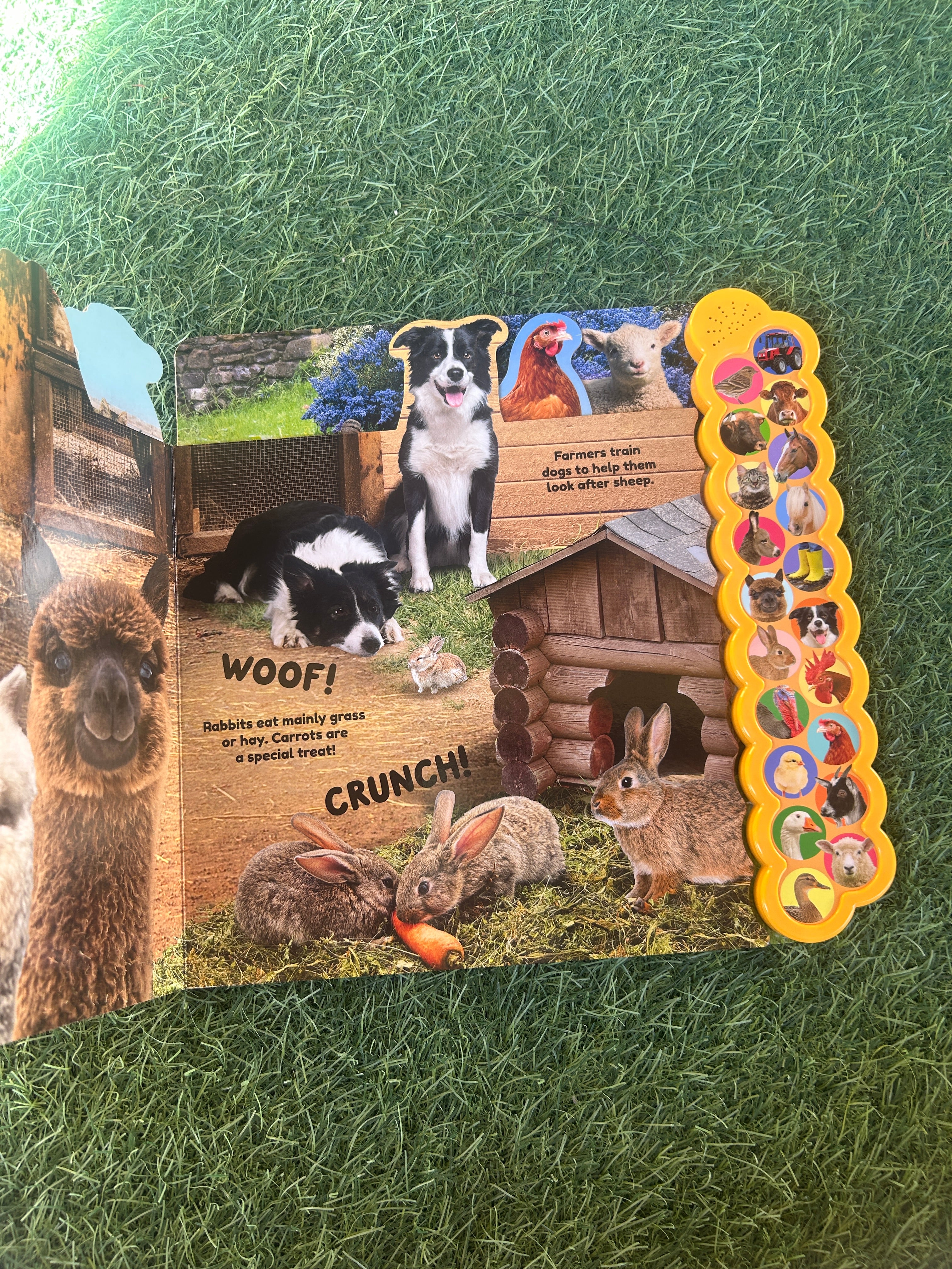 20 Sound Farm Animals