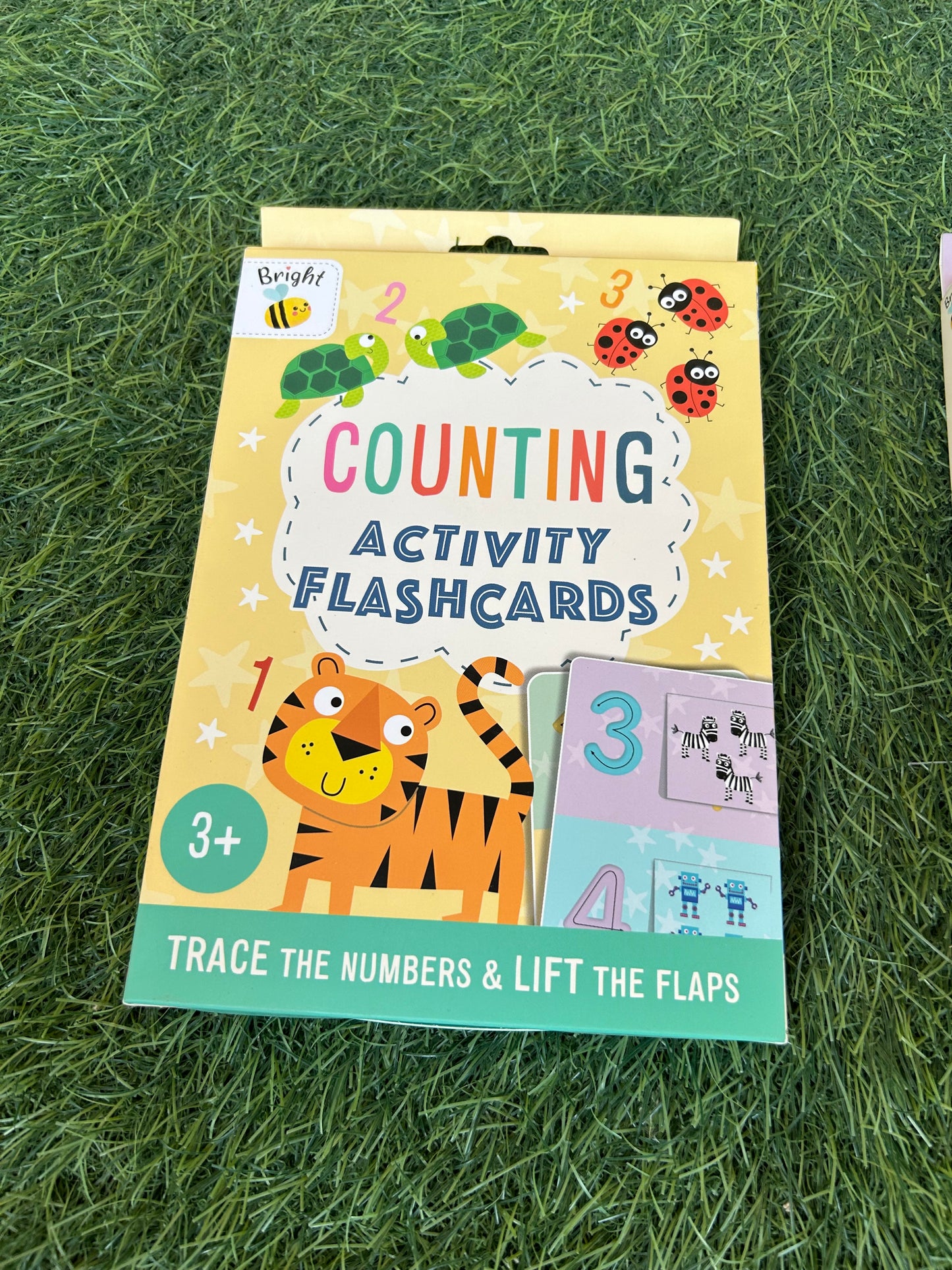 Activity Flashcards