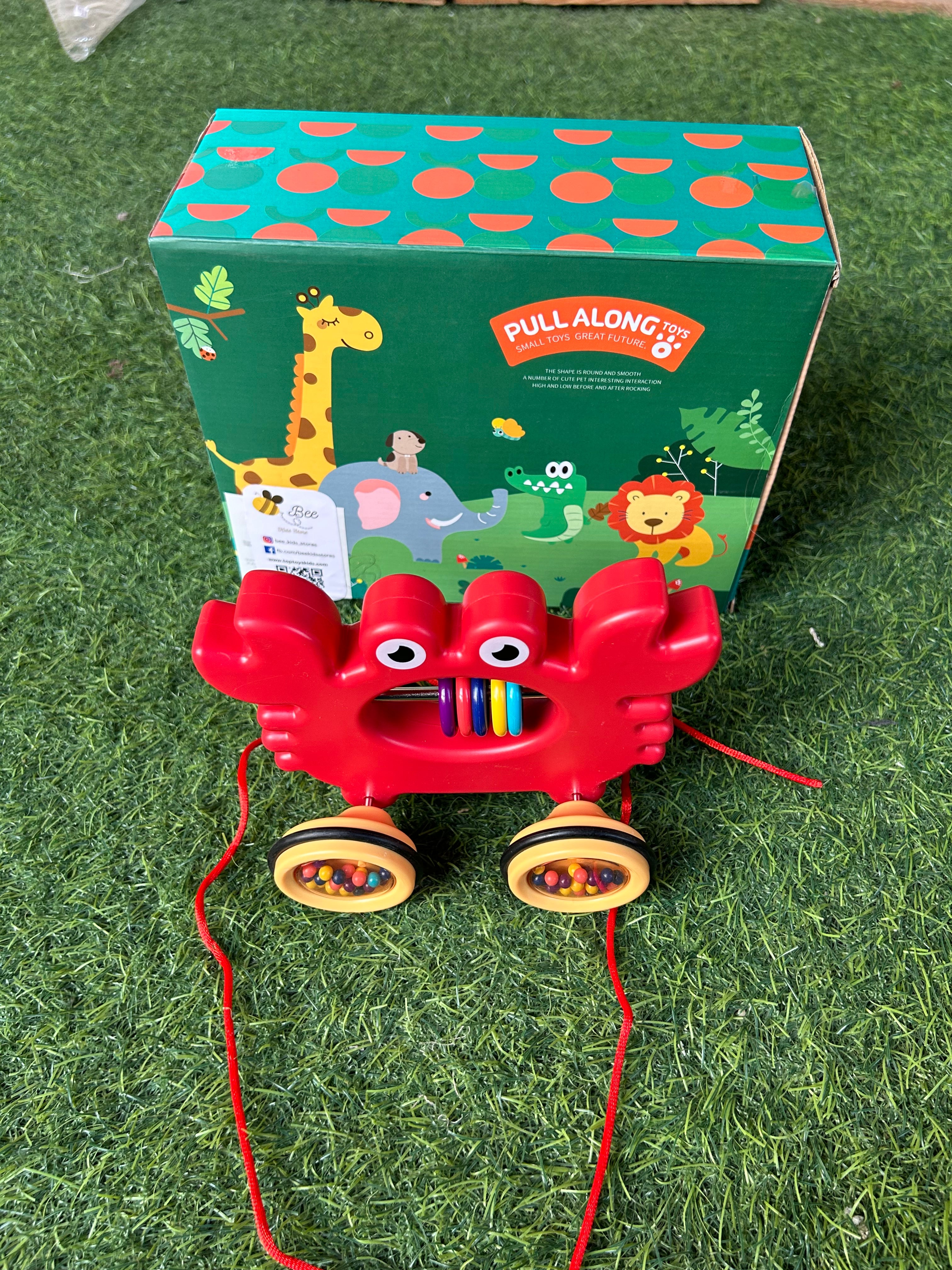 Pull along toy