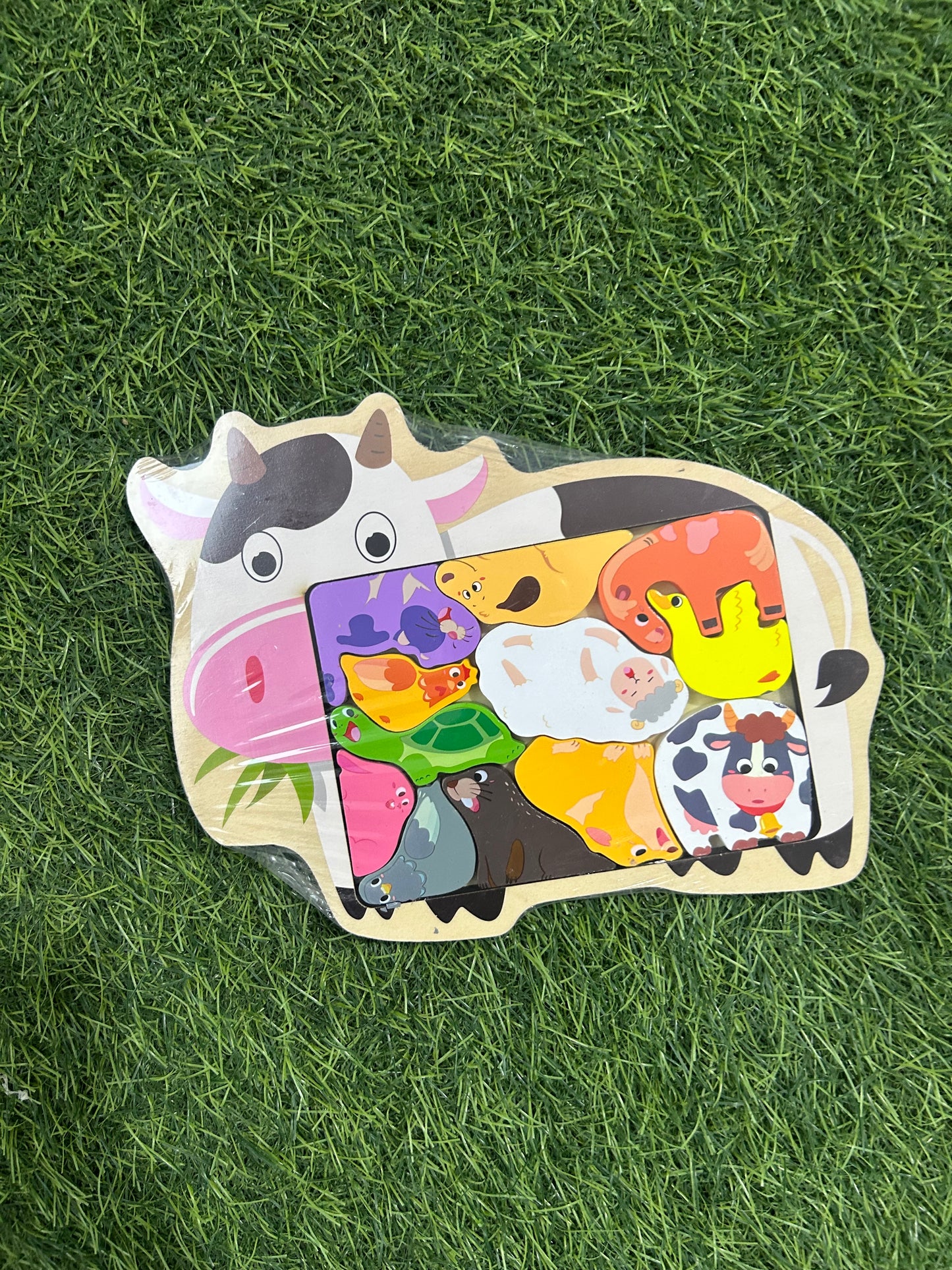 Wooden Puzzle shapes