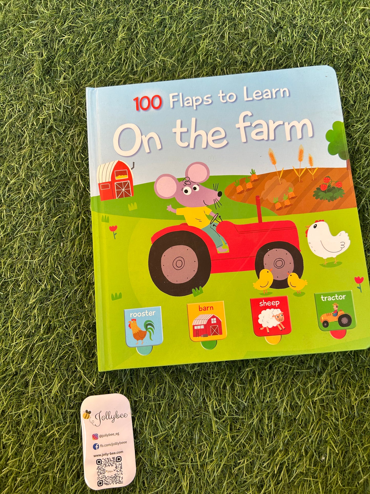 100 Flaps To Learn