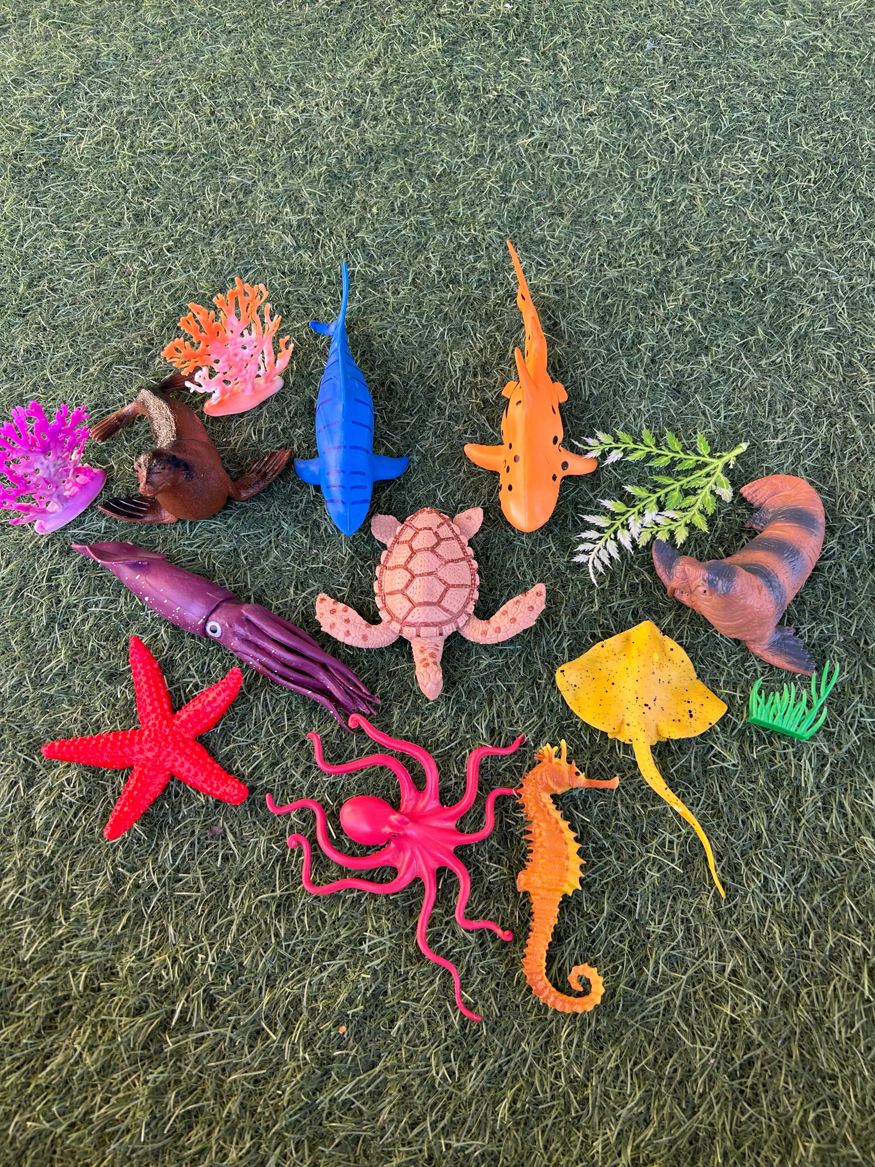 Sea Animals 🌊