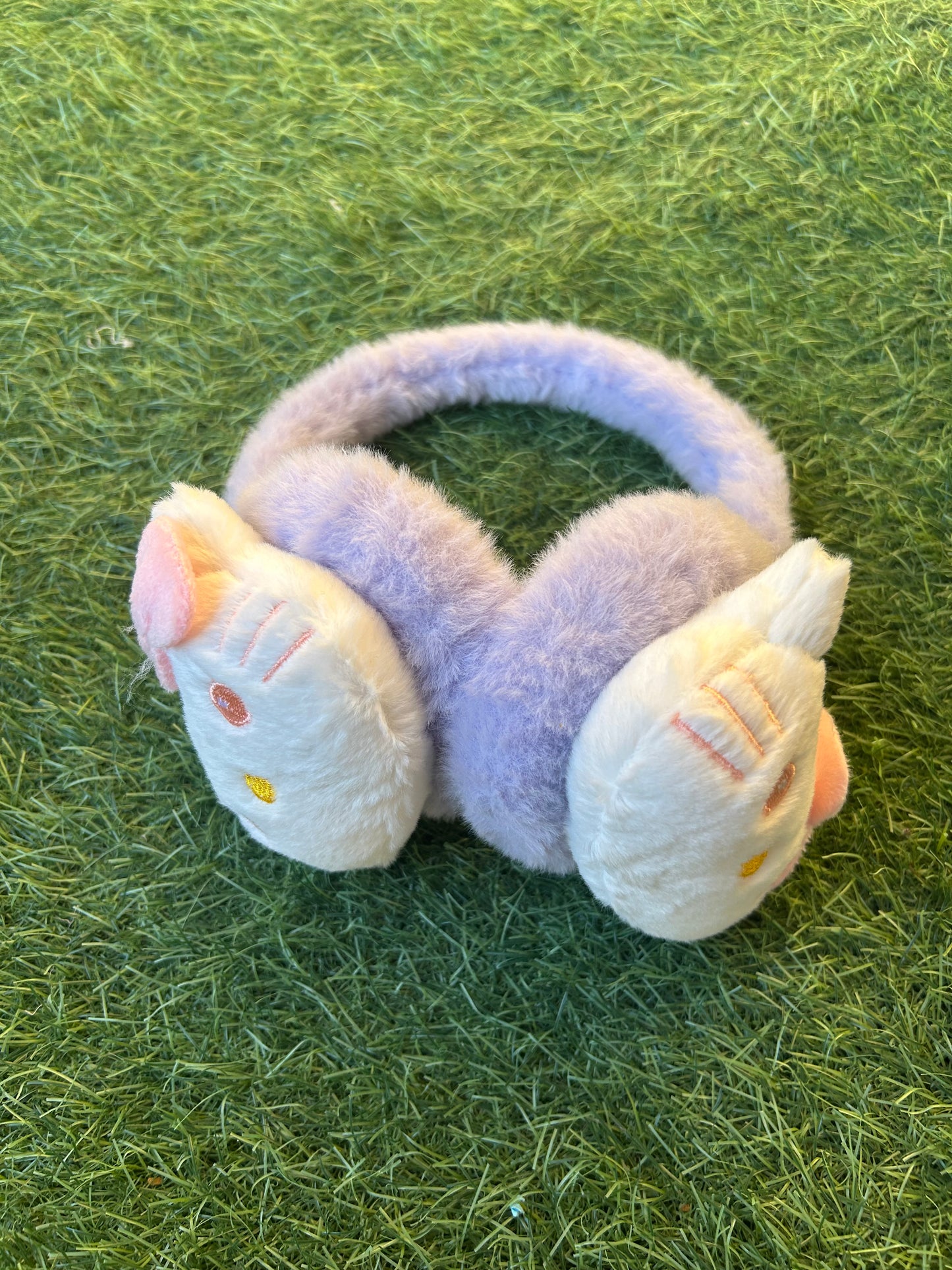 Winter Ear Protection