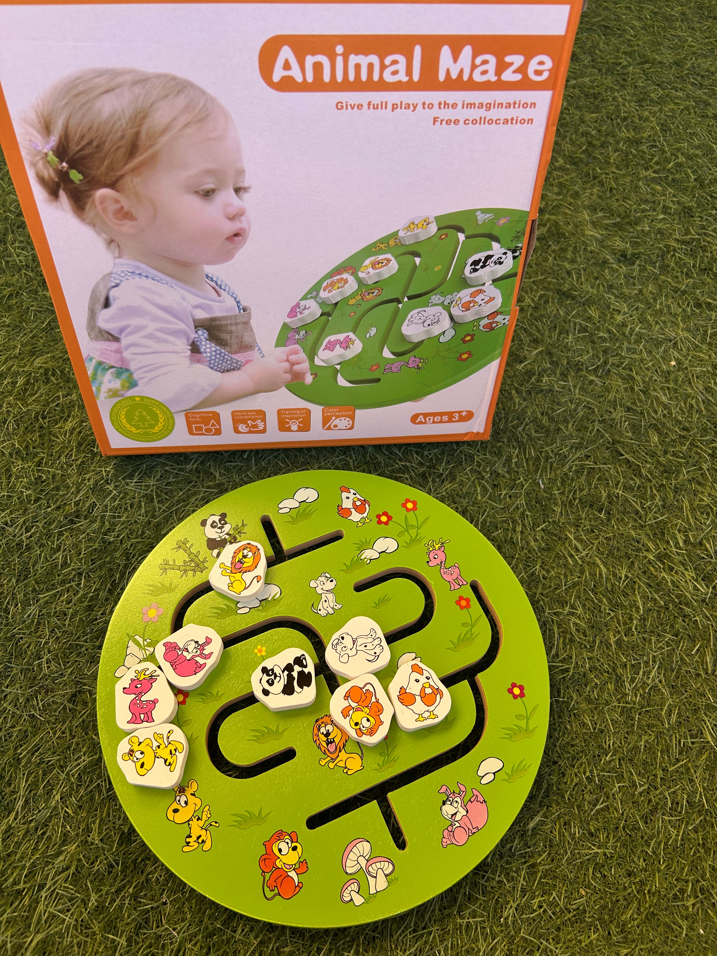 Educational Maze