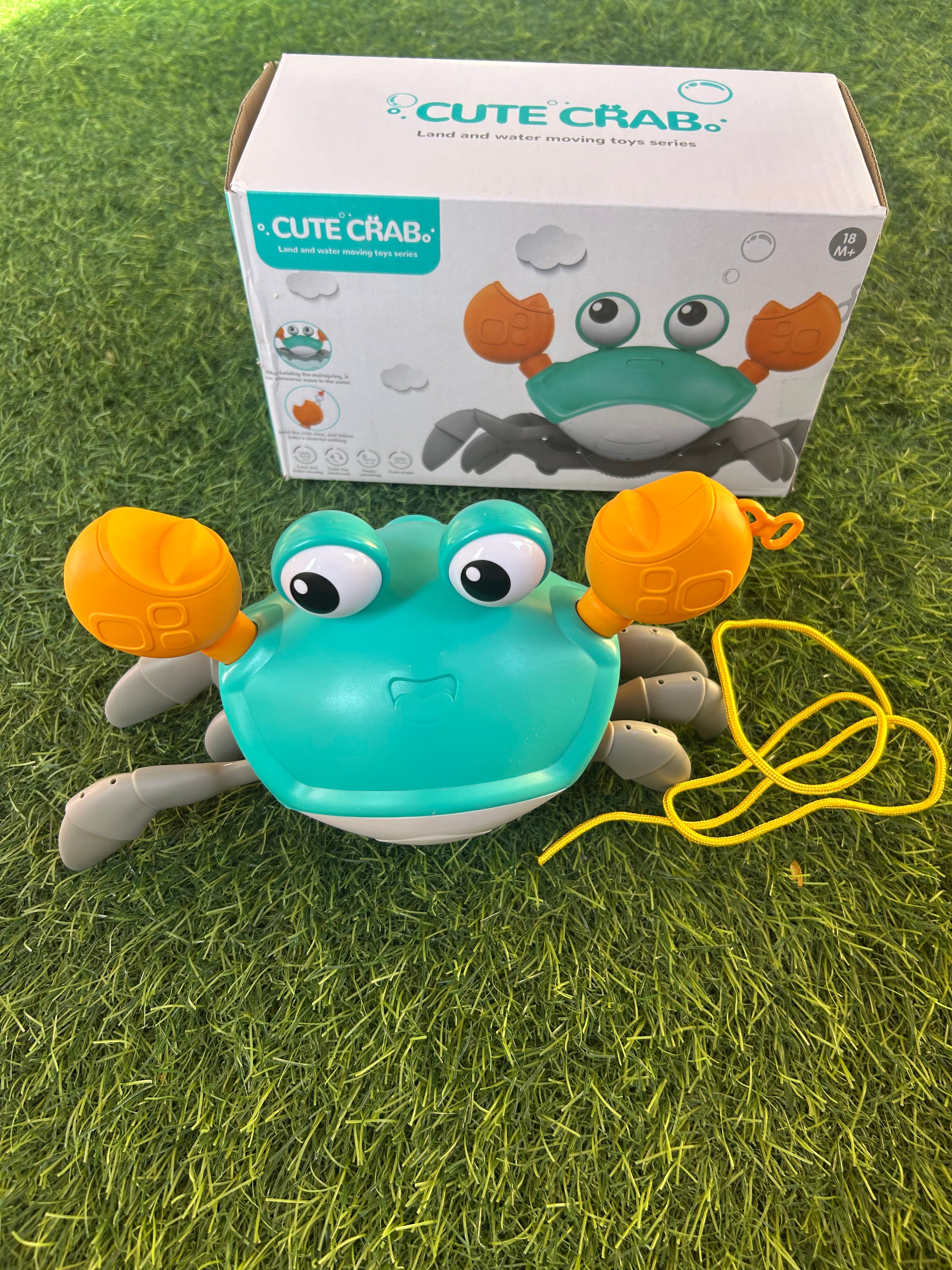 Cute Crab 🦀 Land & moving Toy