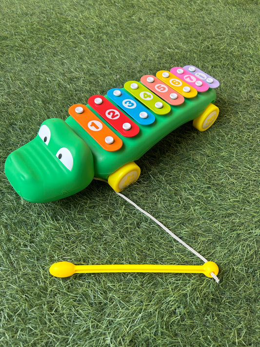 Xylophone alligator 🐊