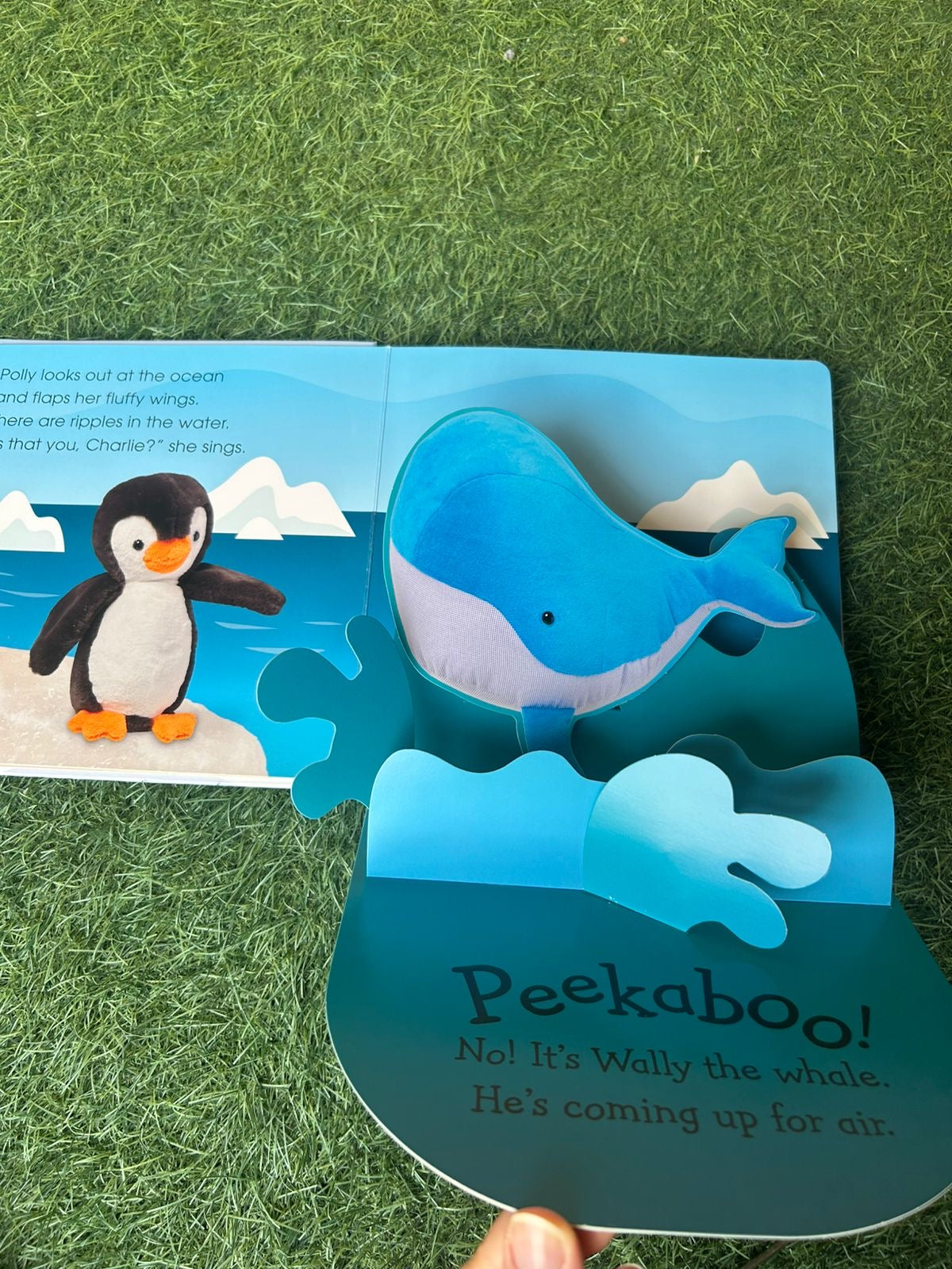 Pop-up Peekaboo Penguin 🐧