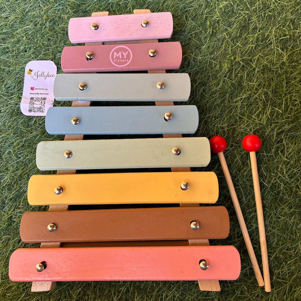 Colorful Xylophone