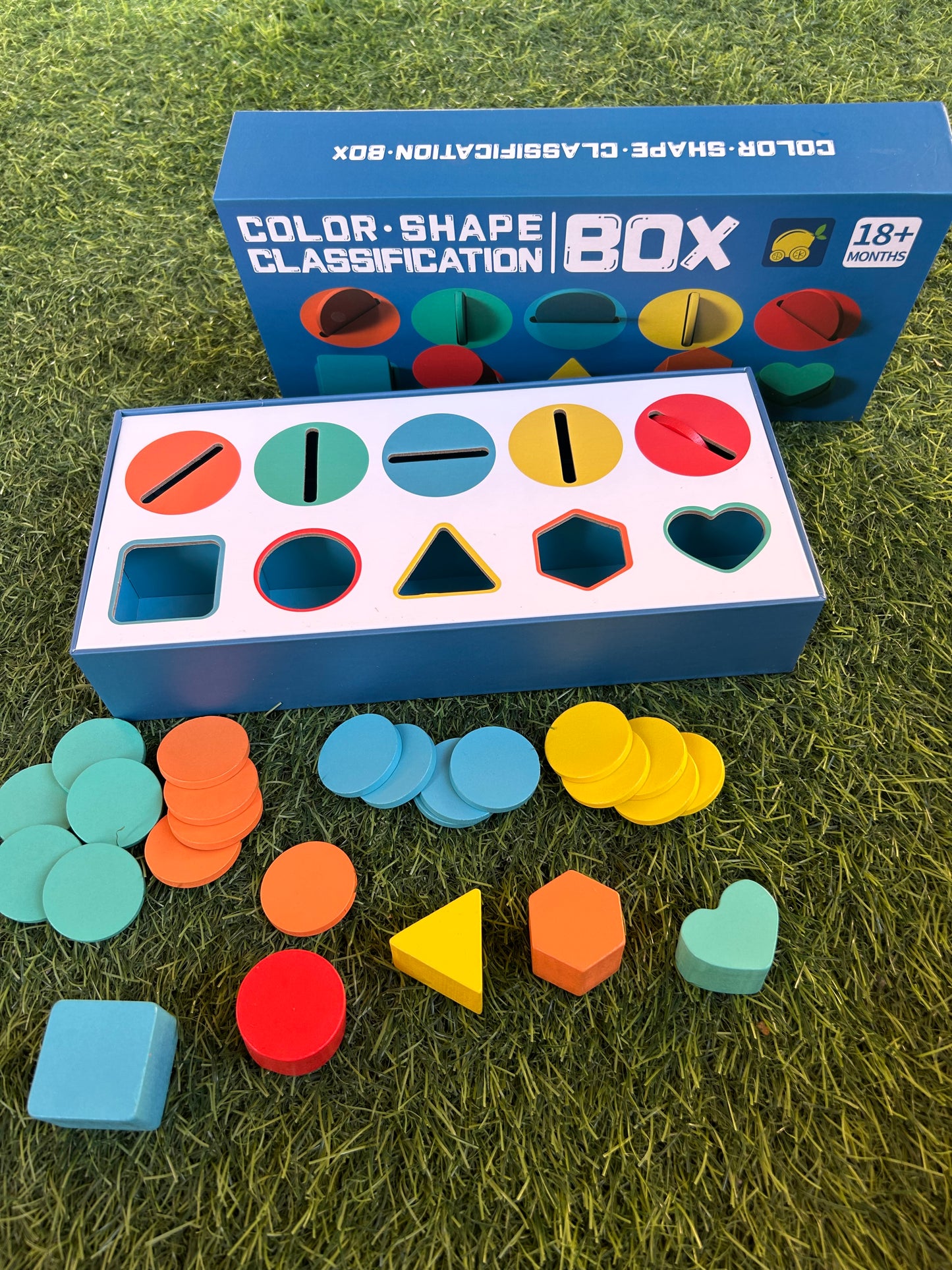 Color Shape Classification Box