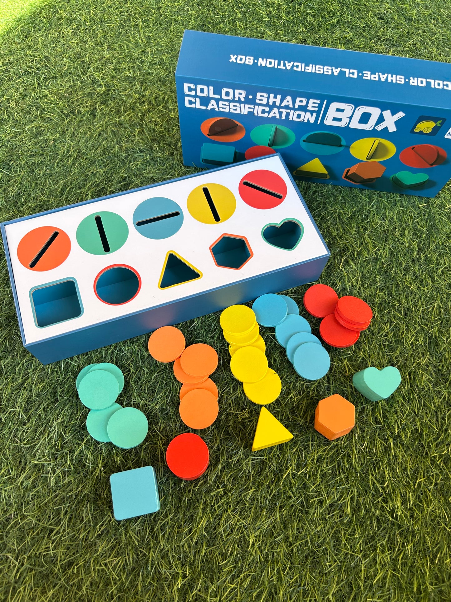 Color Shape Classification Box