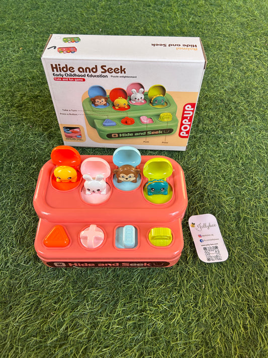Animal Hide & Seek