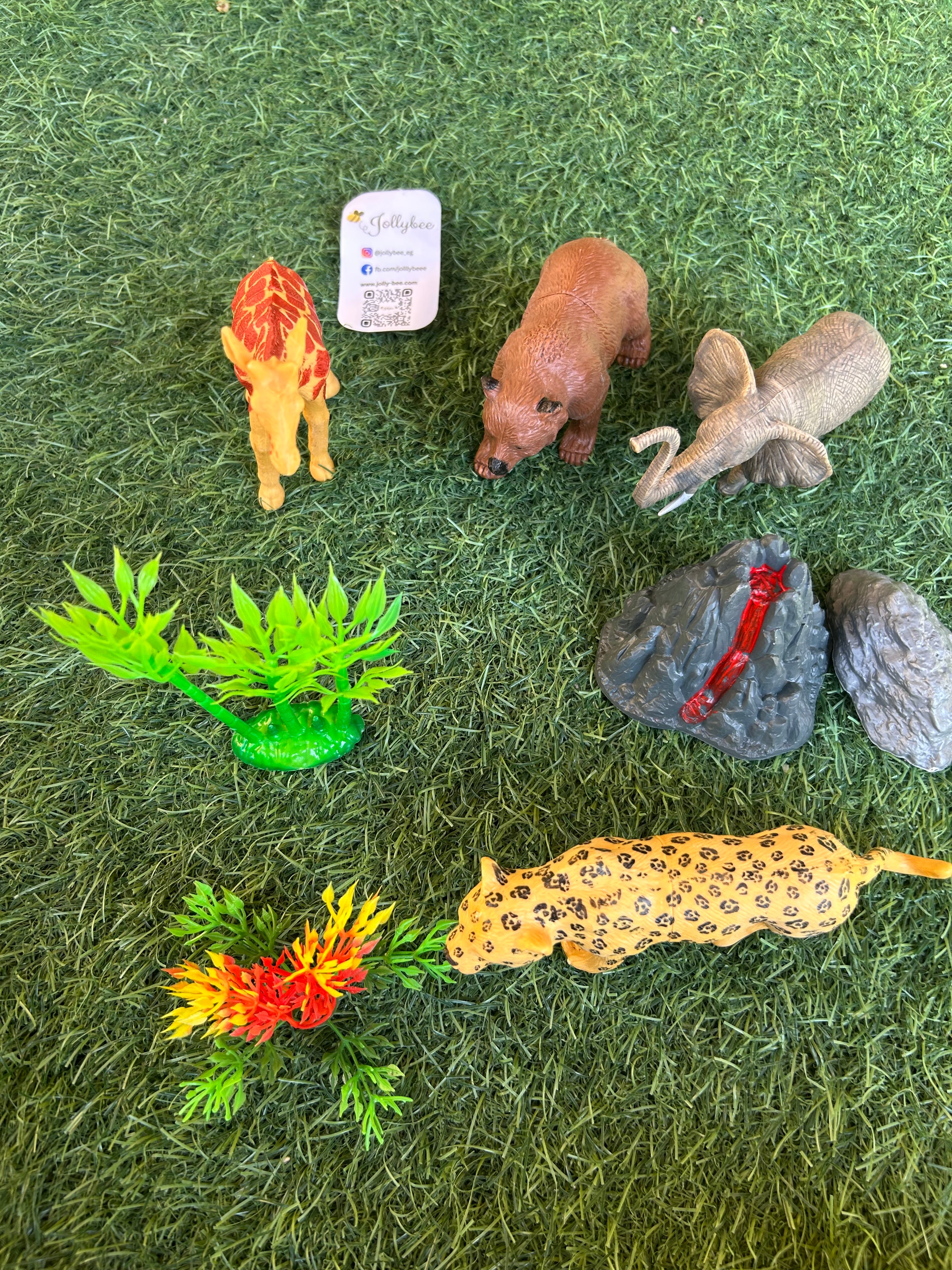Wild Animals Models