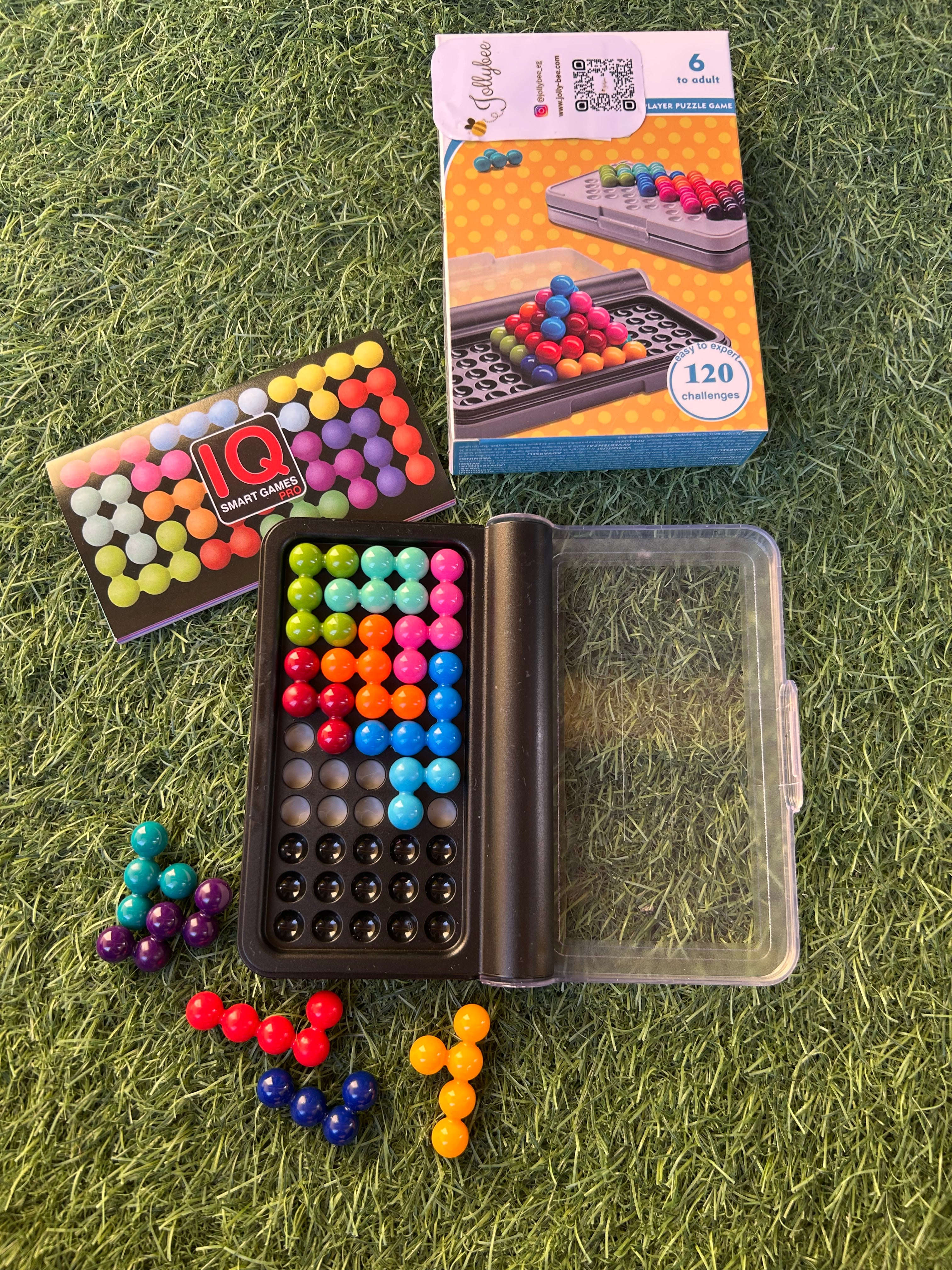 IQ Puzzle
