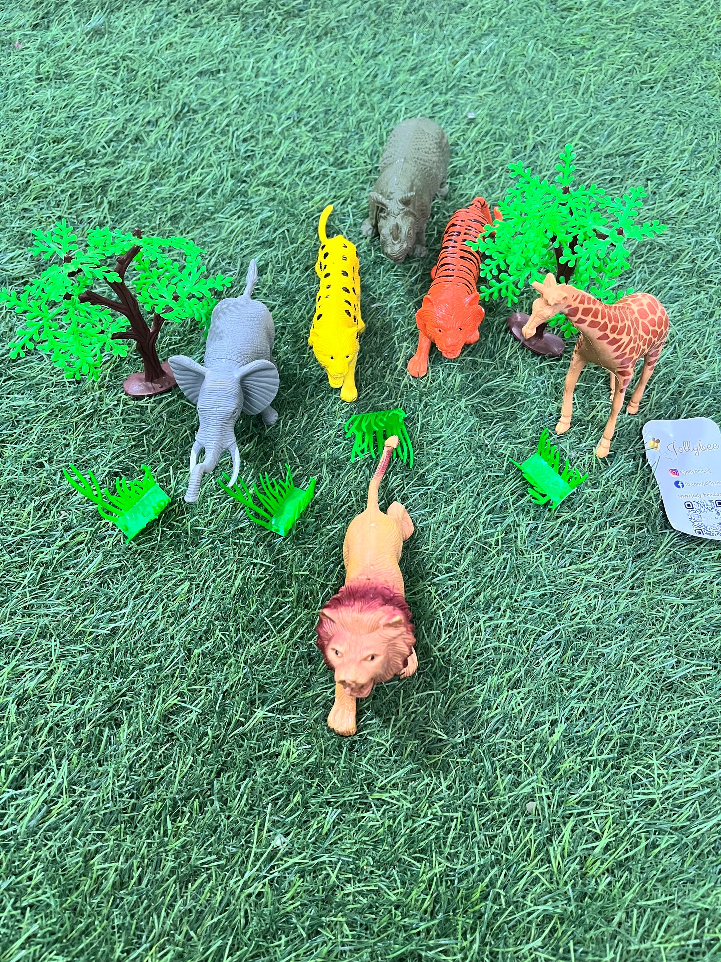 Forest Animals