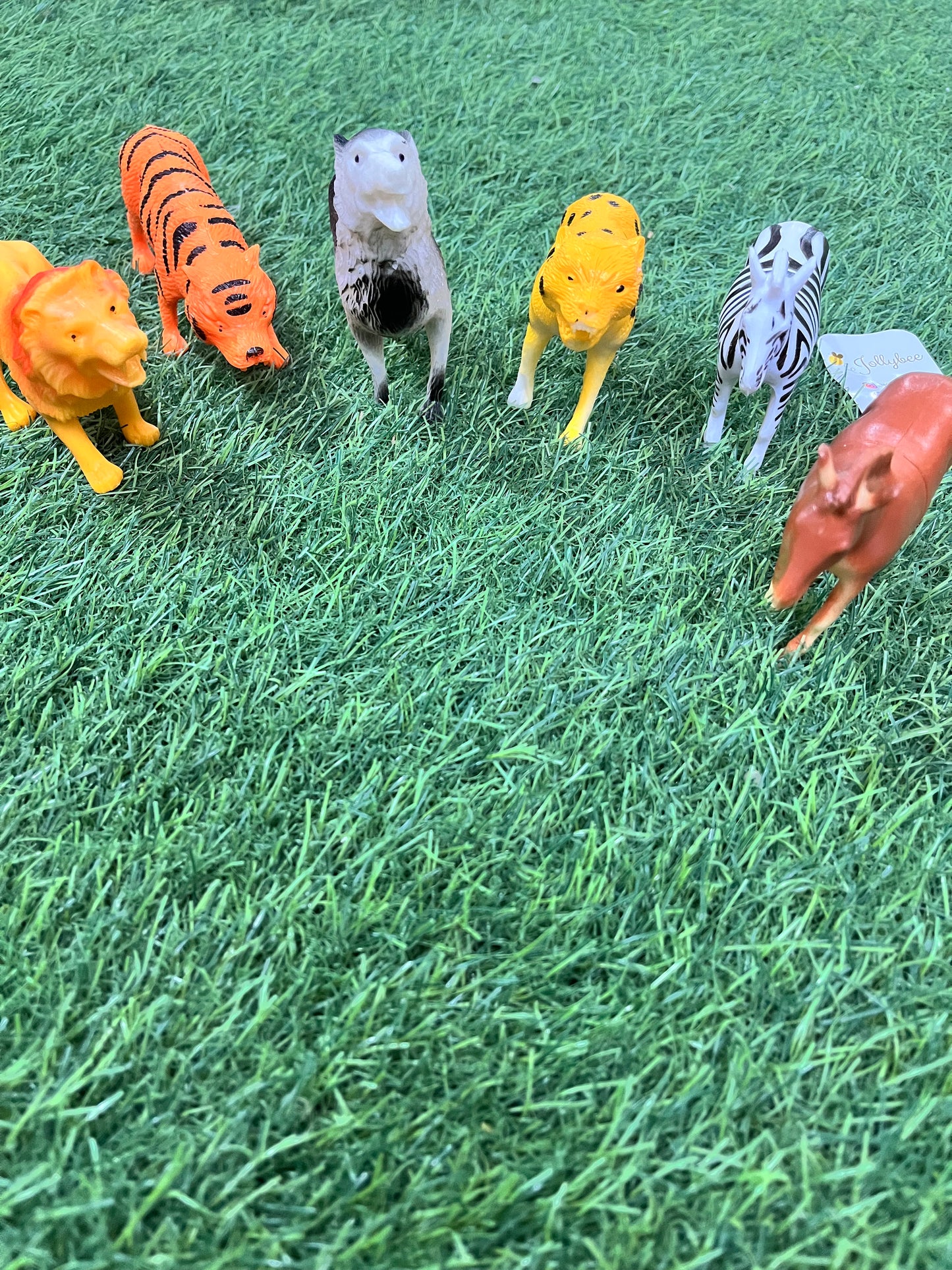 Forest Animals