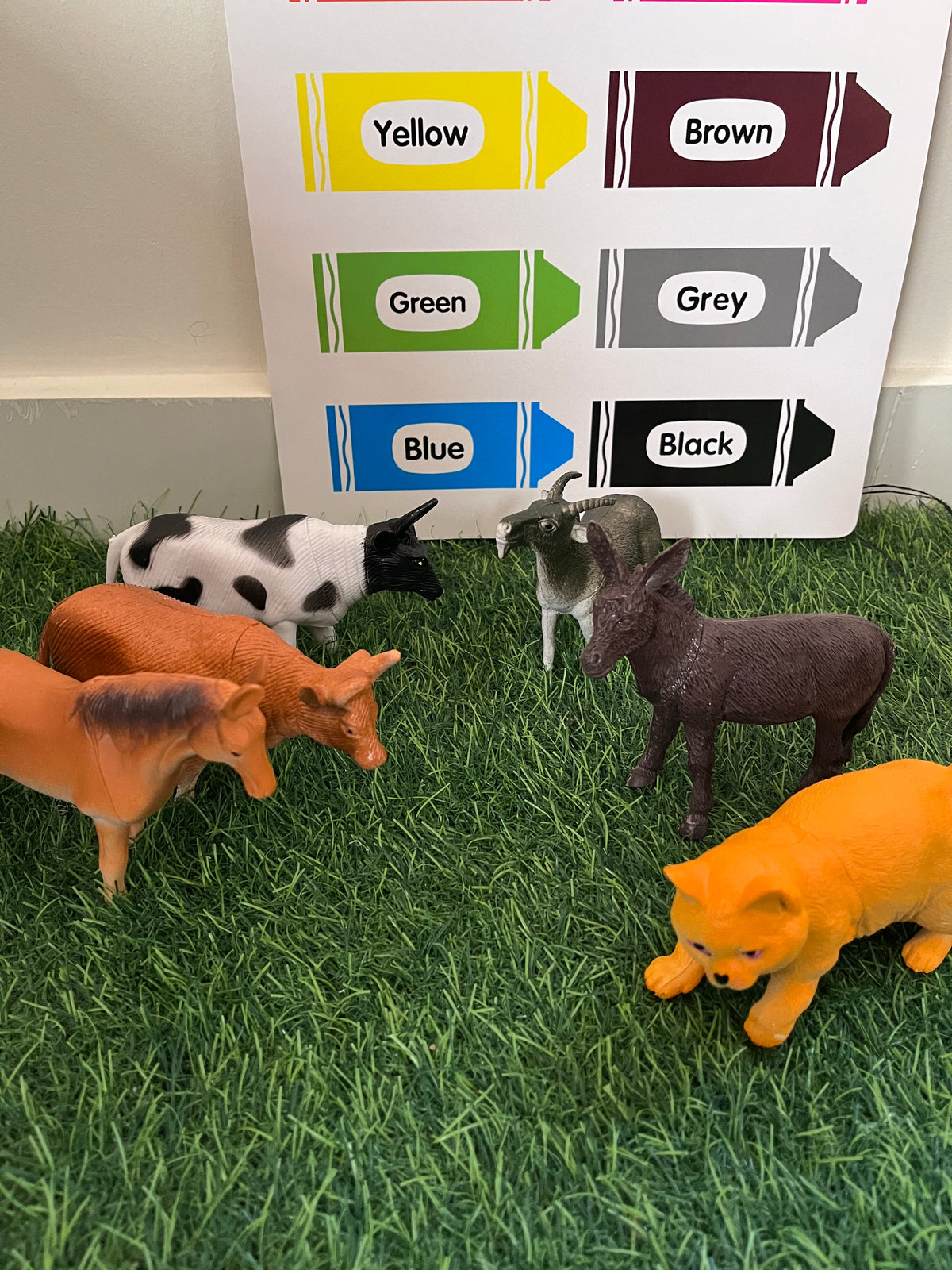 Farm animals