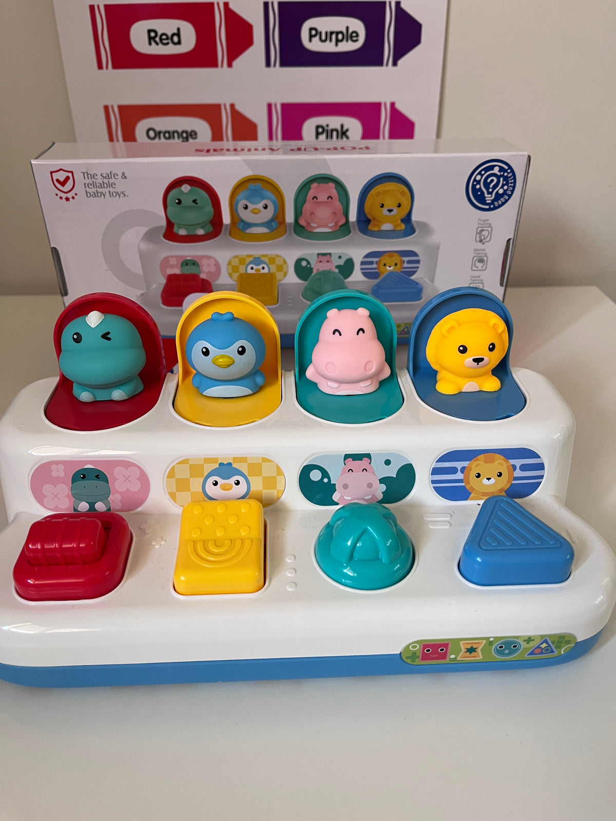 Pop-up Animals