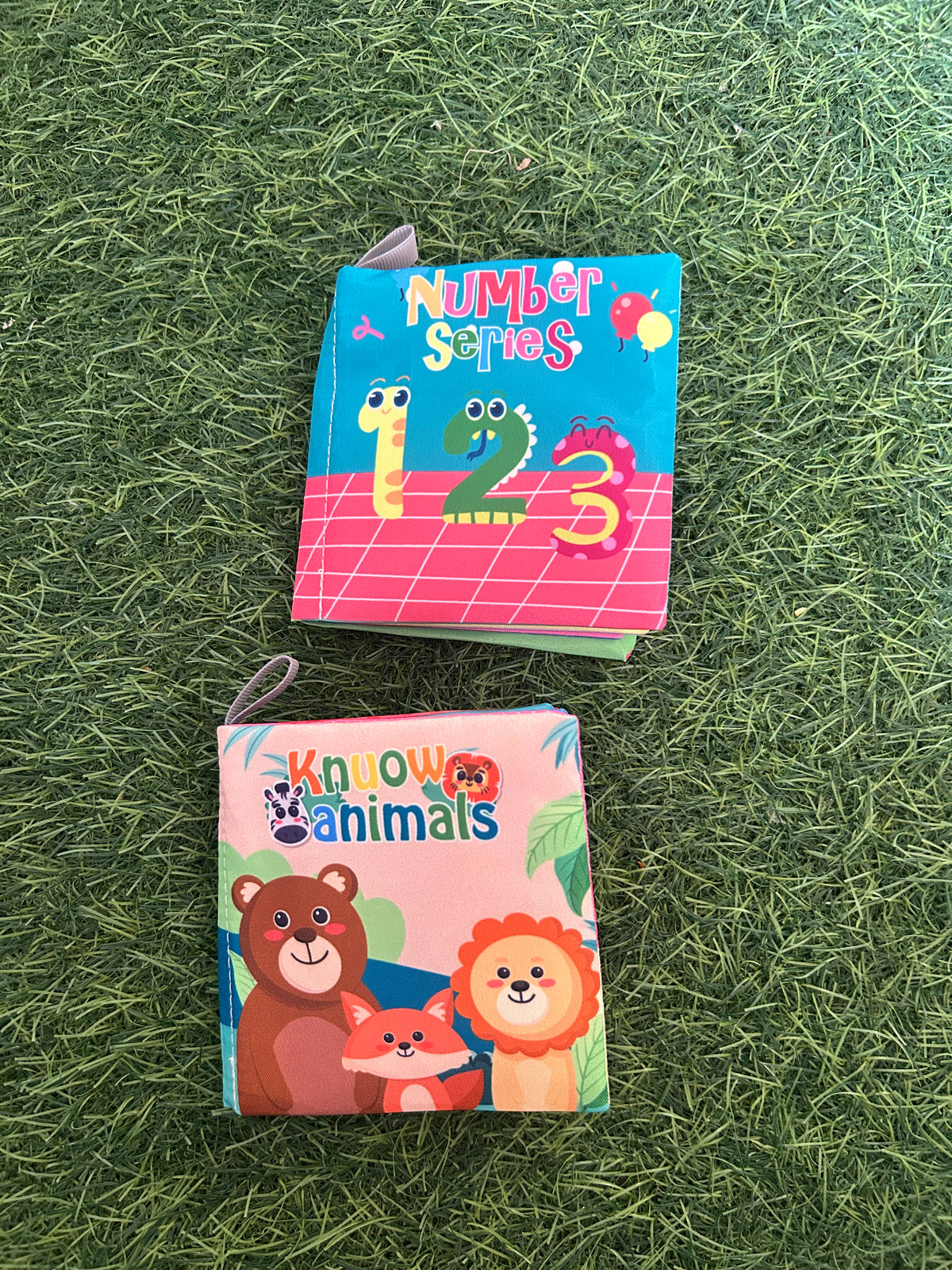 Mini Soft Book